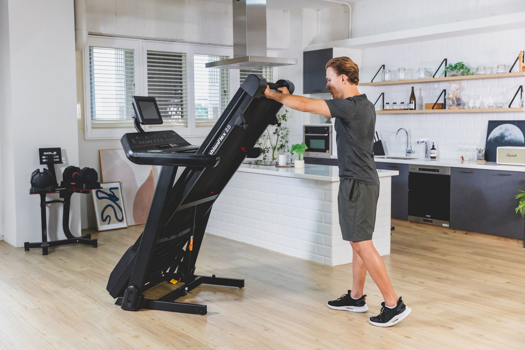 Sole F80 Treadmill product image