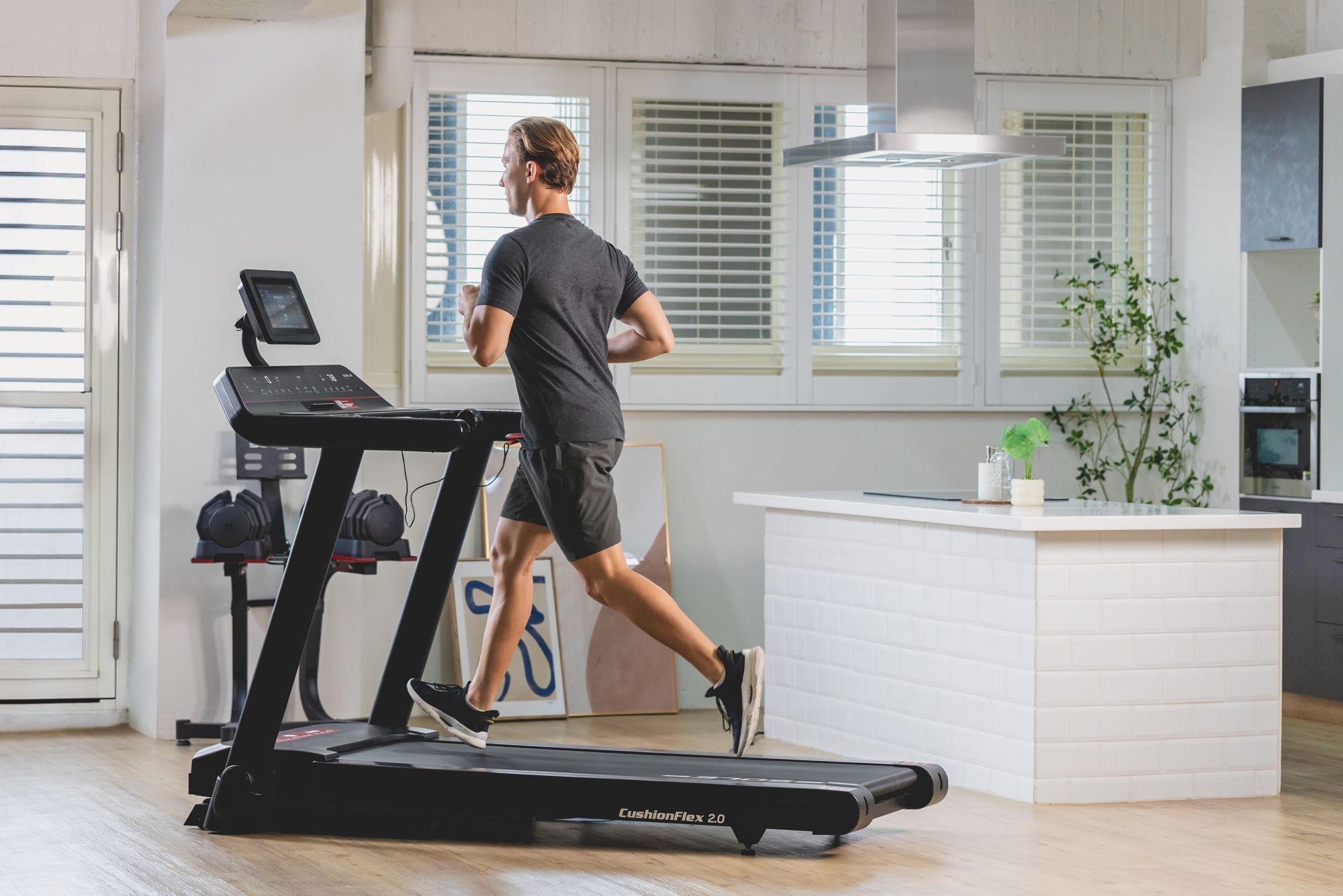 Sole F80 Treadmill product image