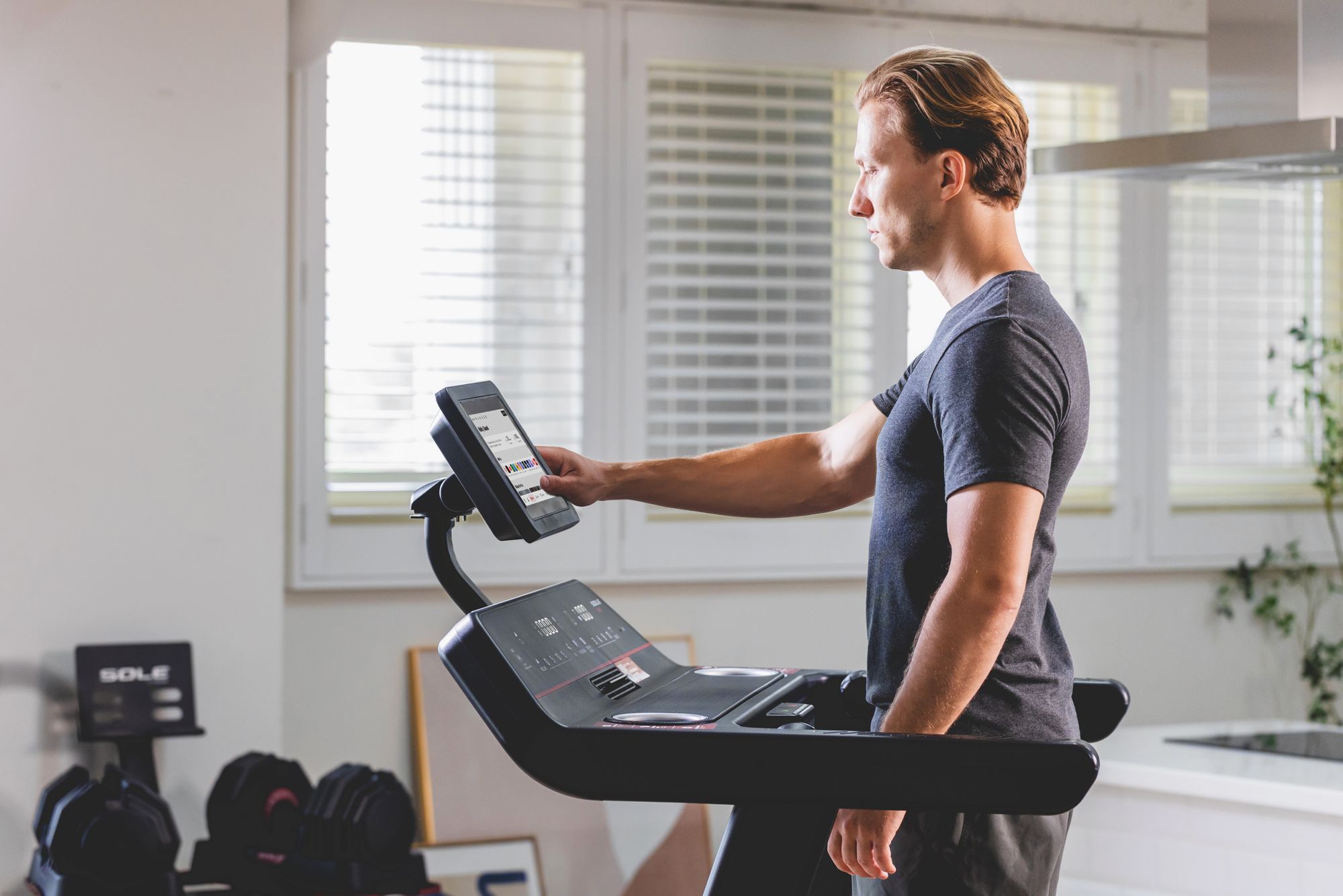 Sole F80 Treadmill product image