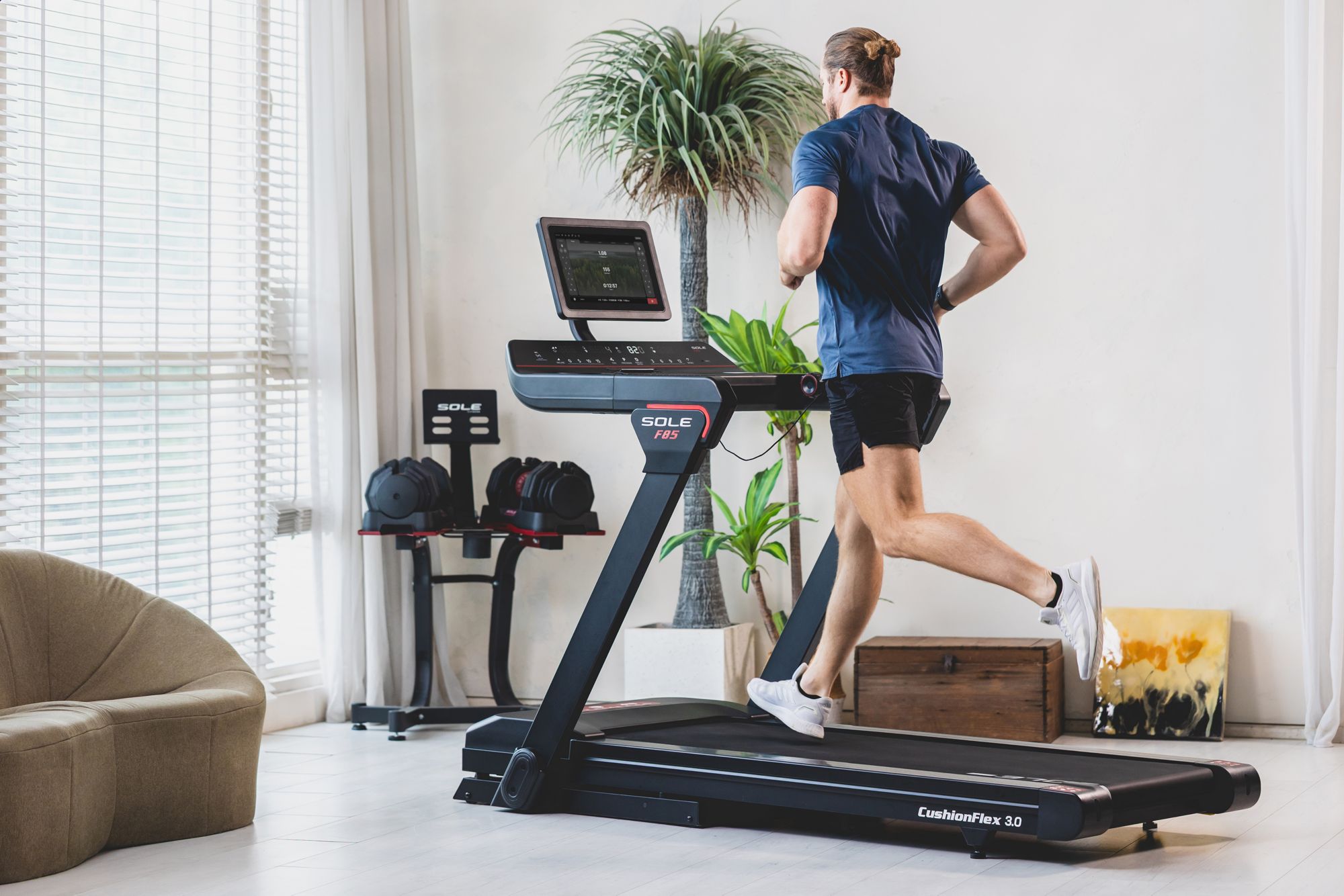 Sole F85 Treadmill product image