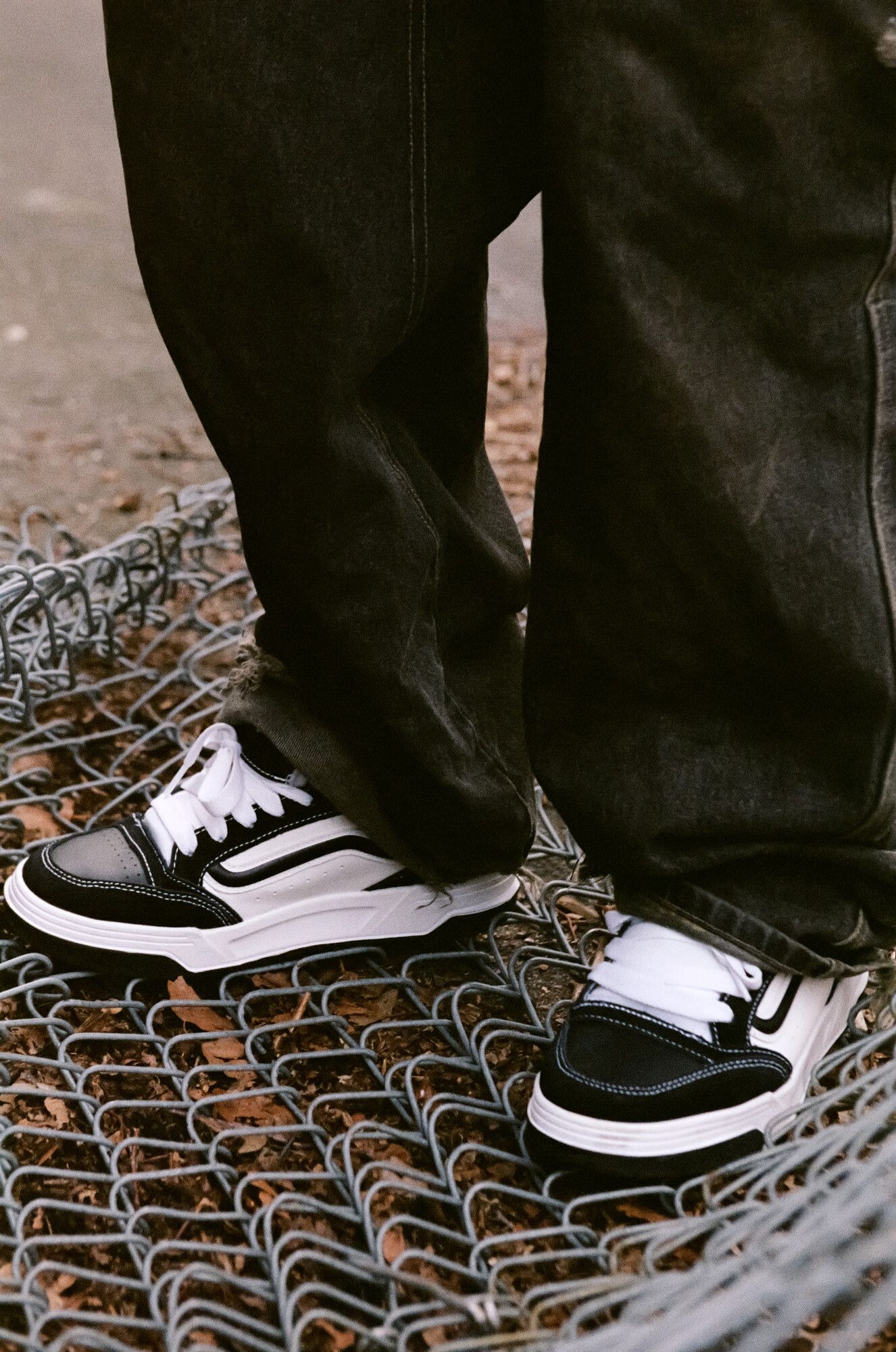 Vans Hylane Shoes product image