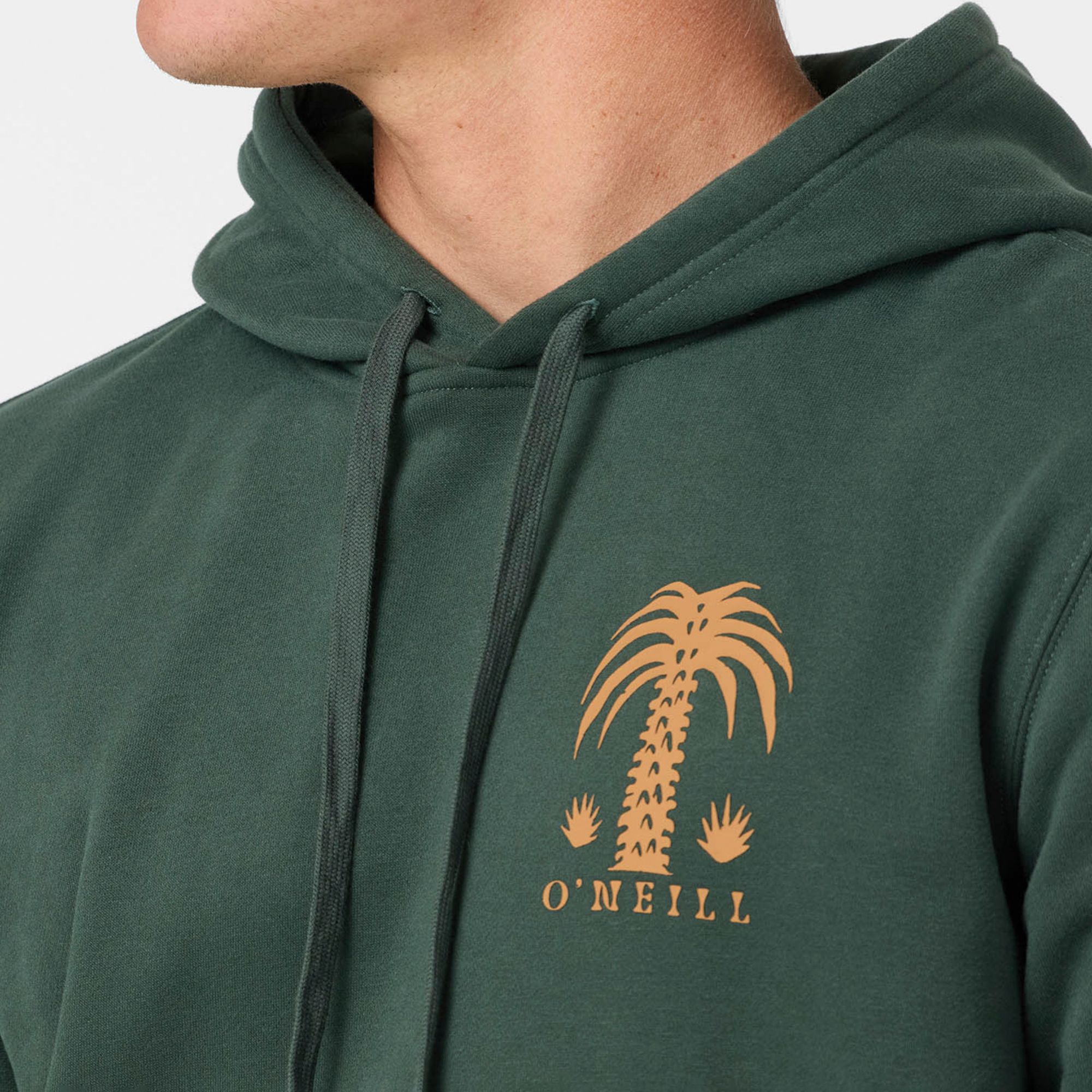 O'Neill Men's Palm Classic Hoodie product image