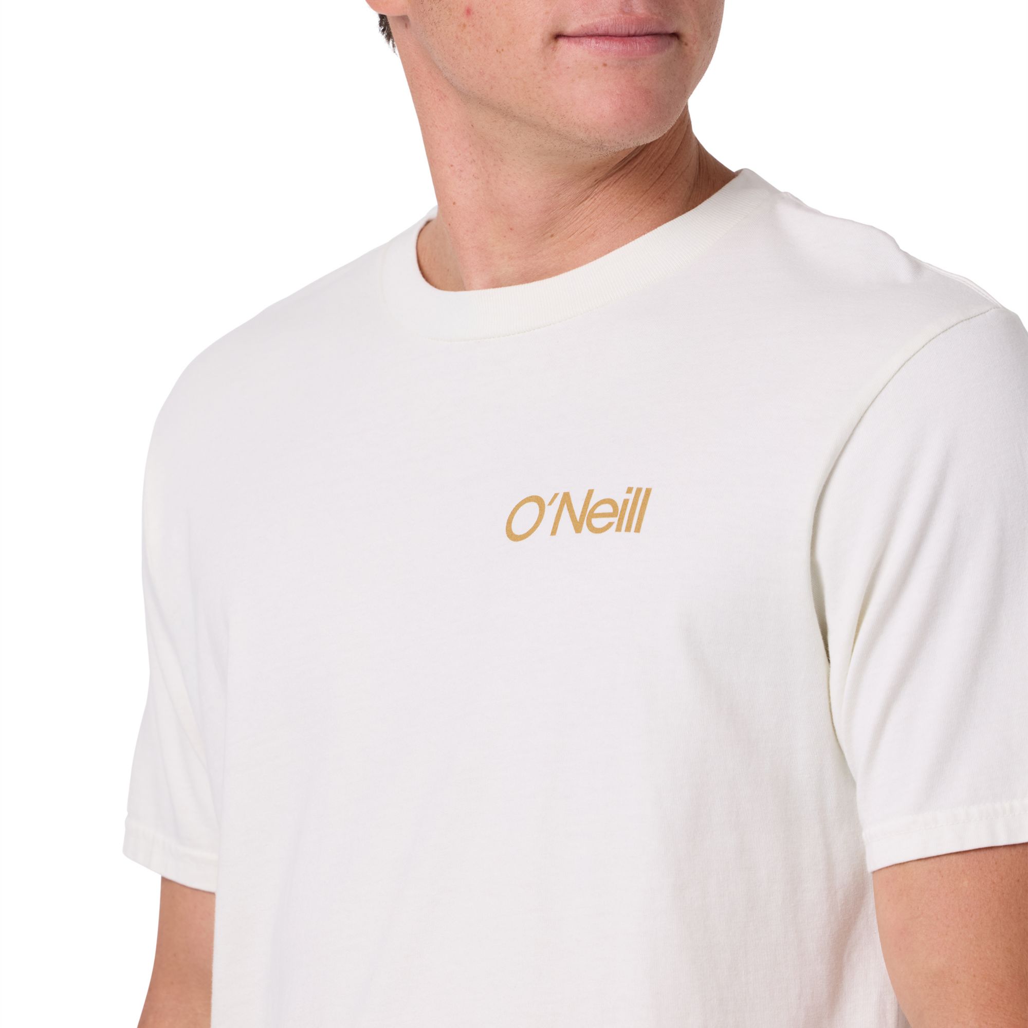 O'Neill Men's O'Riginals Cubed Vintage Tee product image
