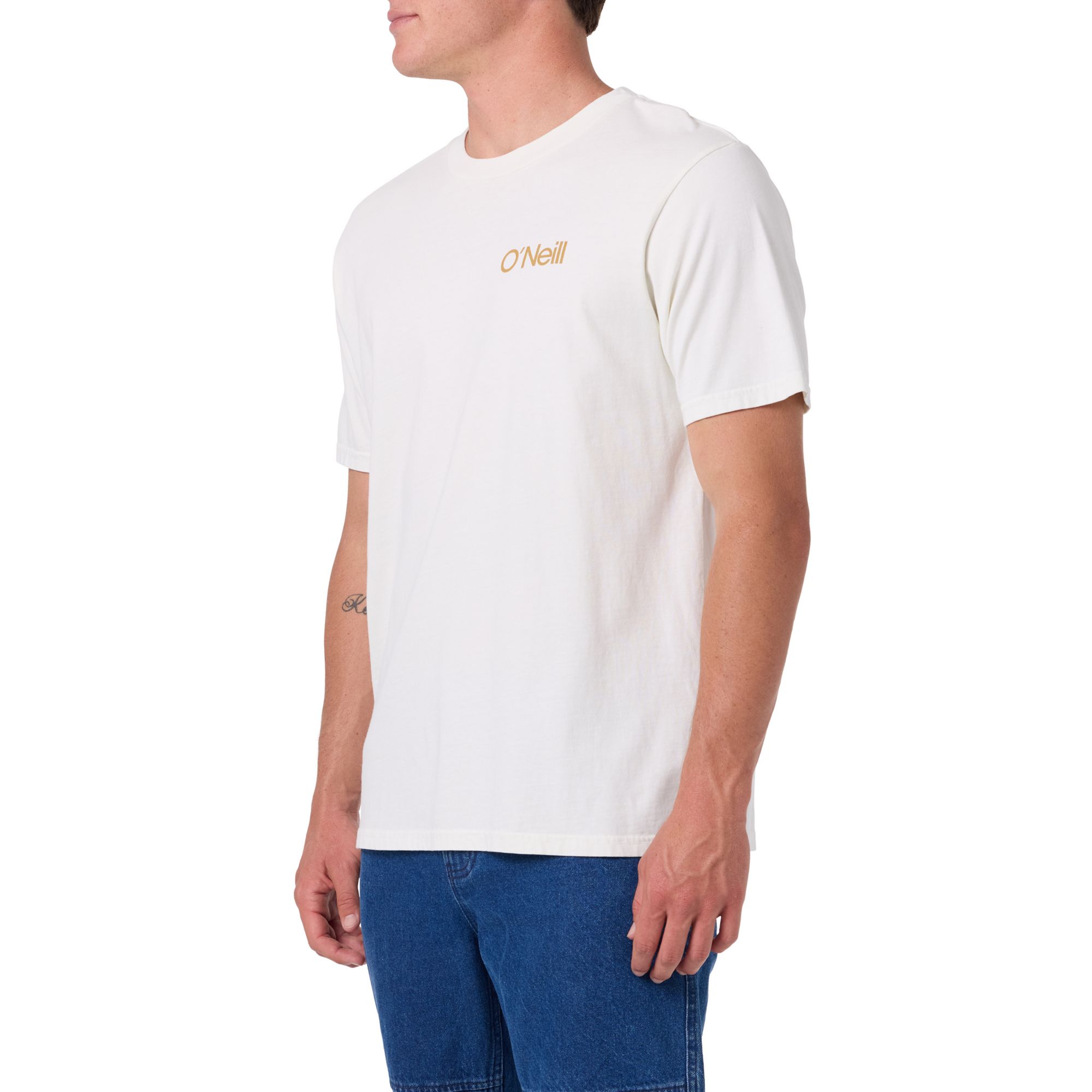 O'Neill Men's O'Riginals Cubed Vintage Tee product image