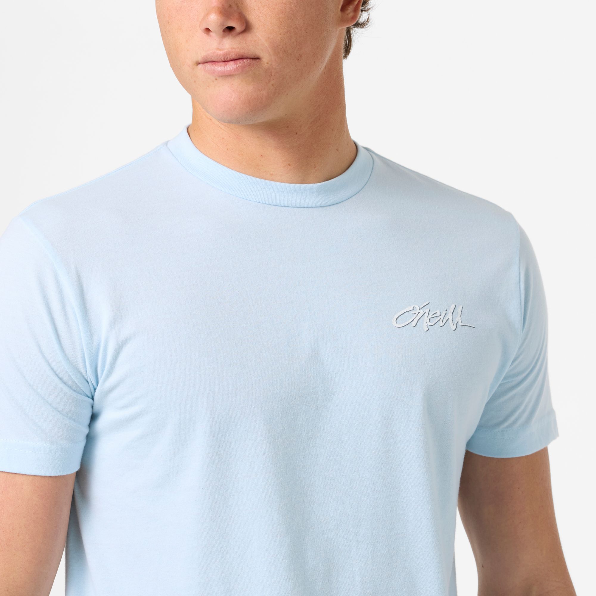 O'Neill Men's Homegrown T-Shirt product image