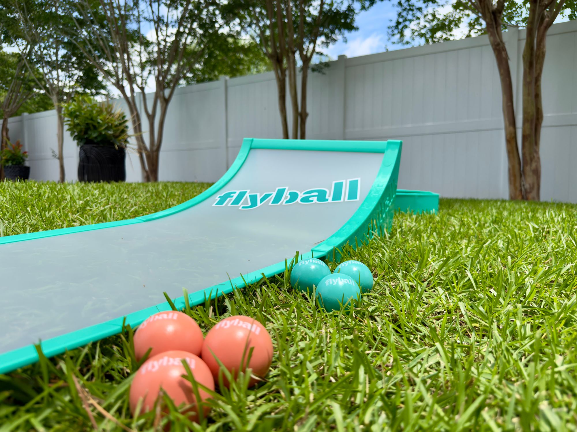 Flyball Classic Game Set product image