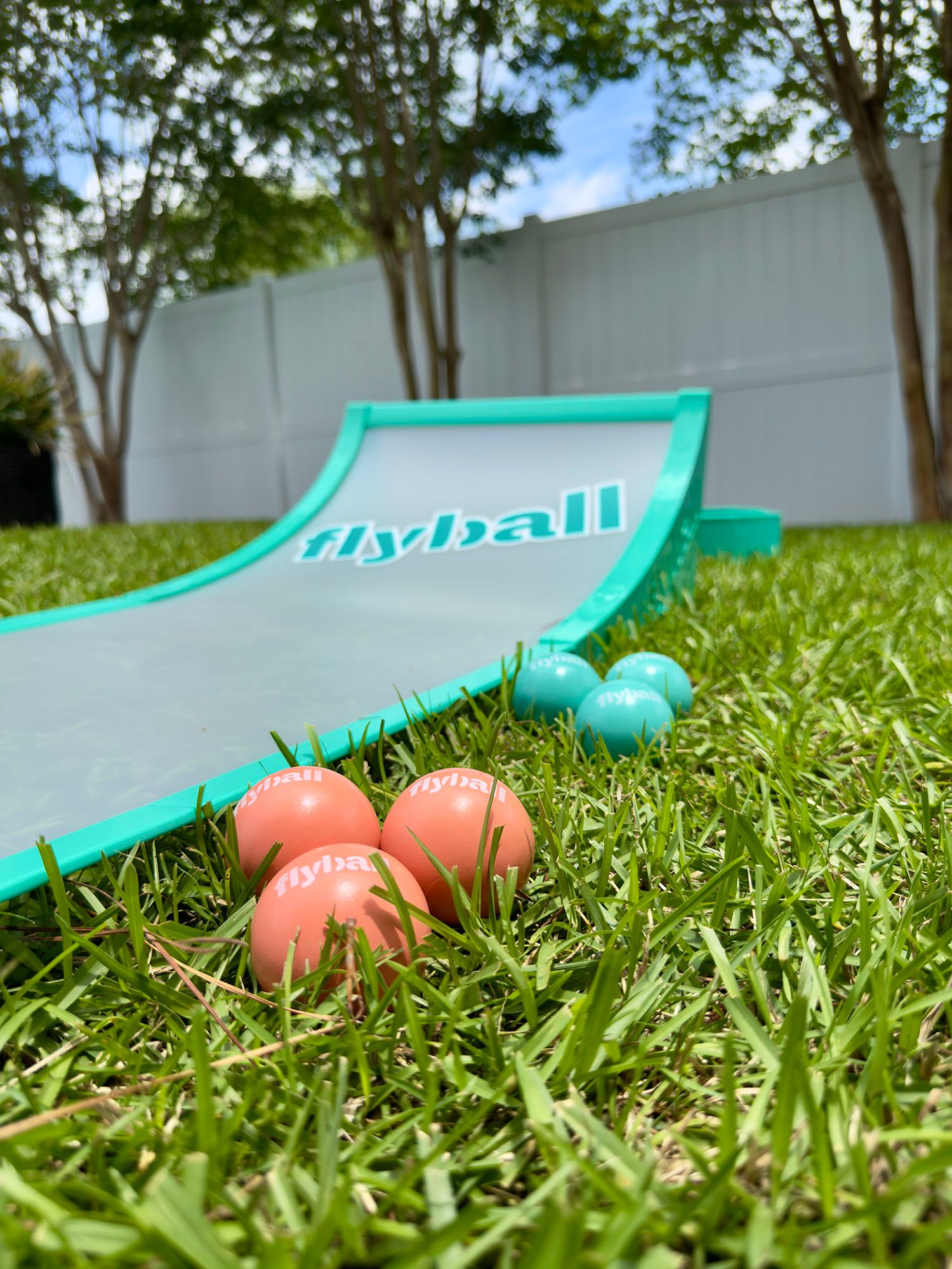 Flyball Classic Game Set product image