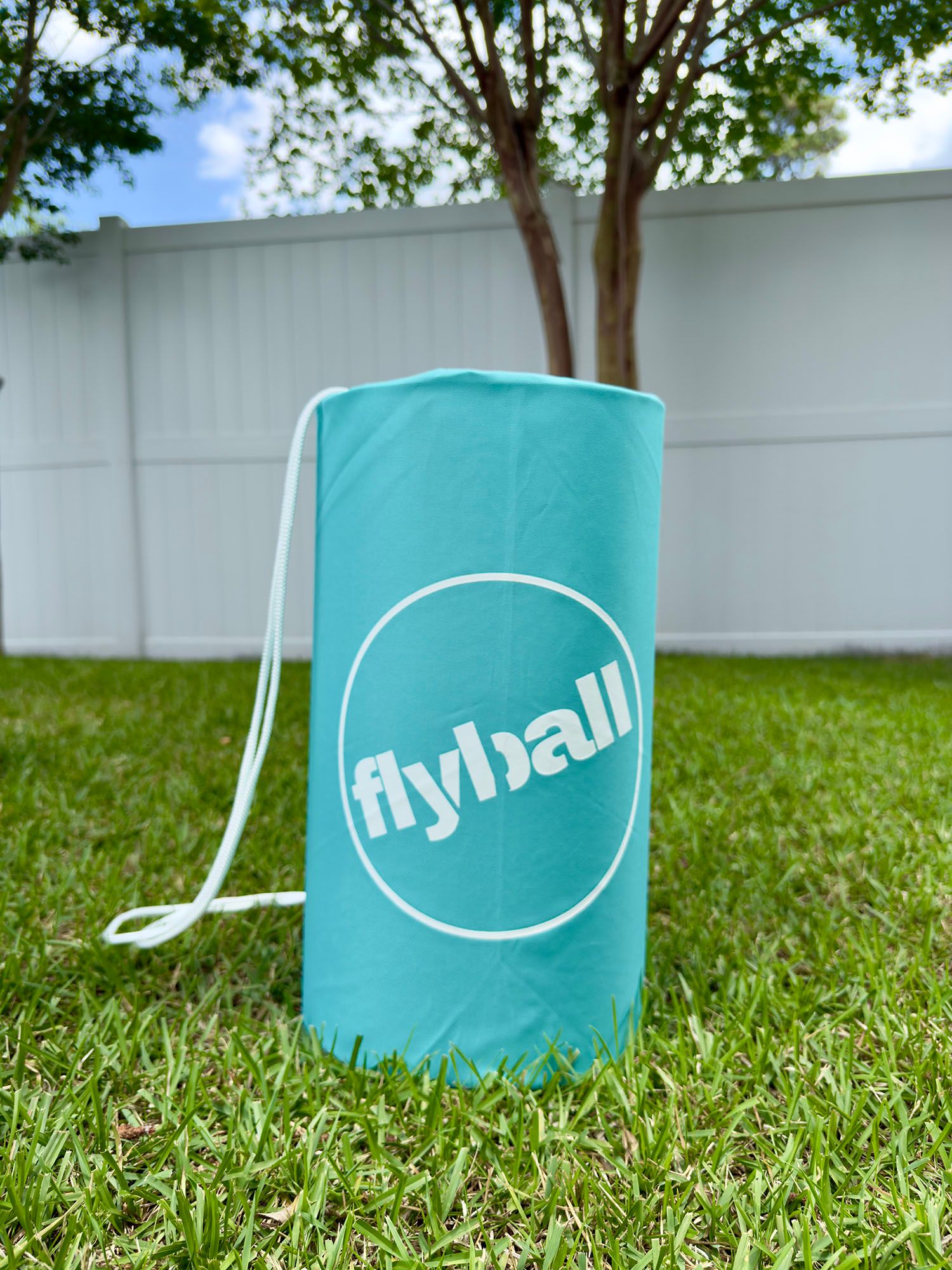 Flyball Classic Game Set product image