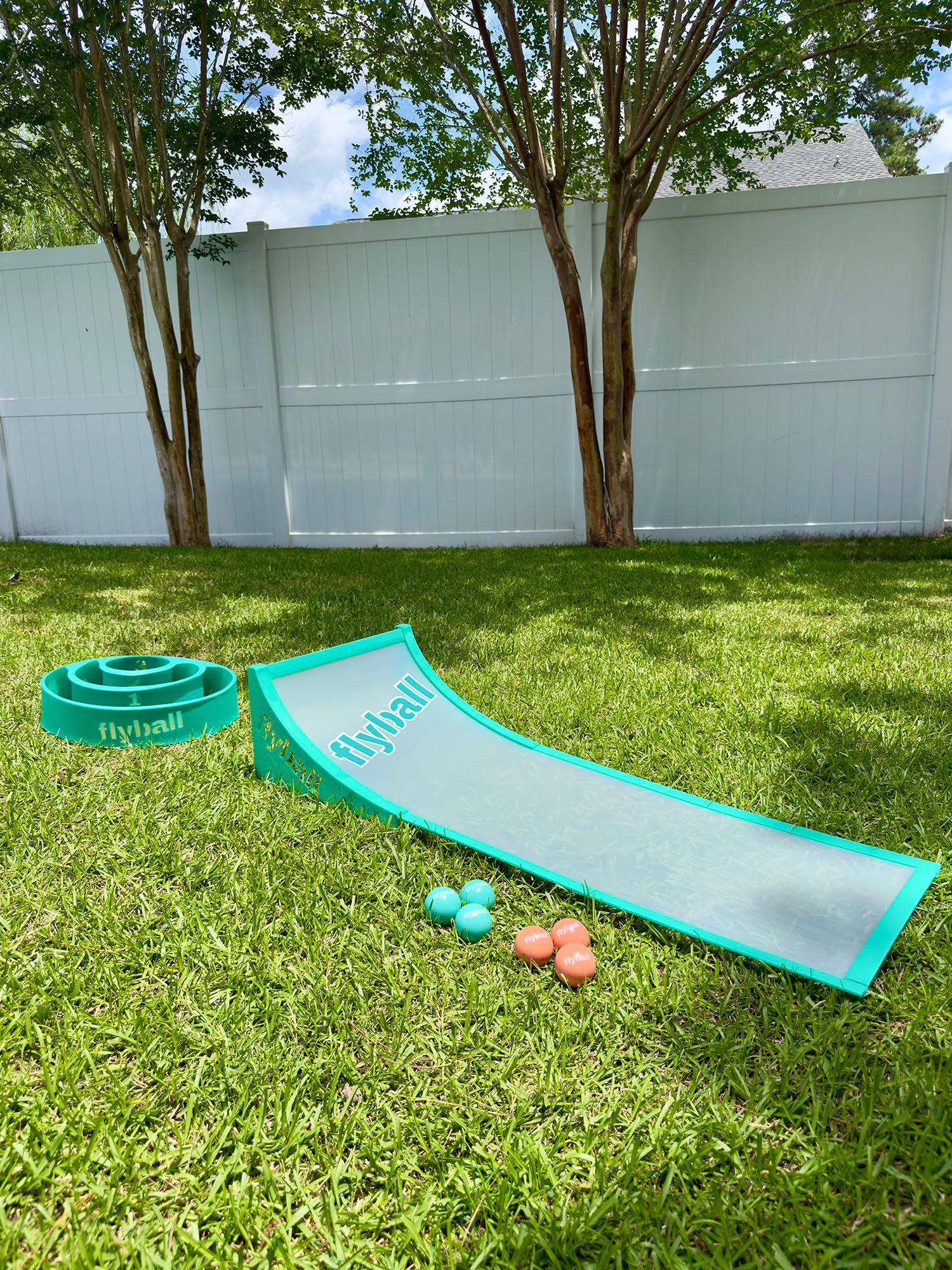 Flyball Classic Game Set product image