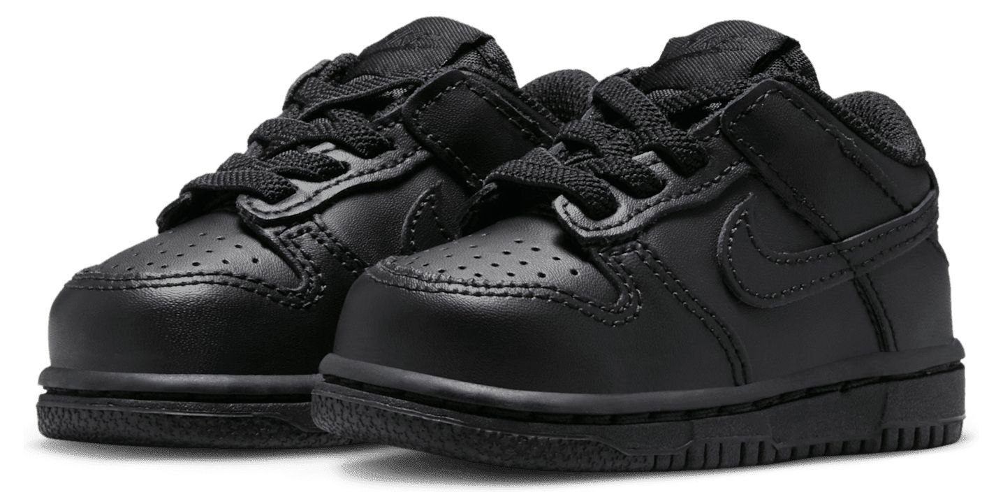 Nike Toddler Dunk Low Shoes product image