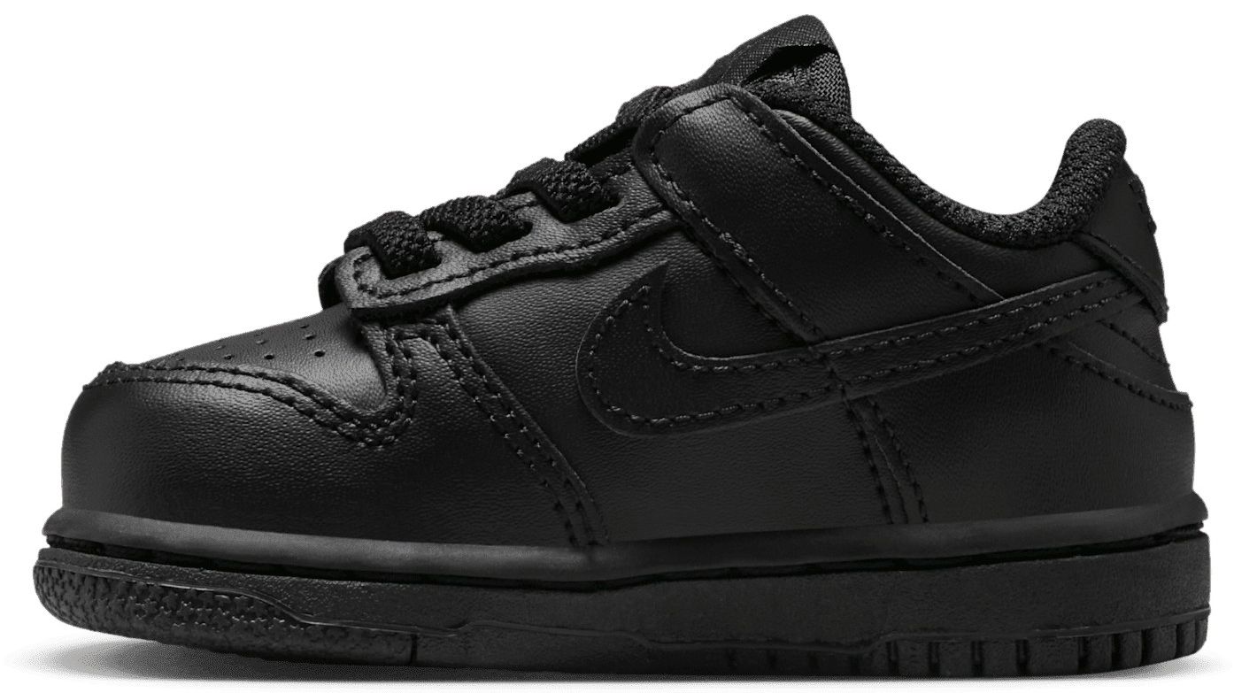 Nike Toddler Dunk Low Shoes product image