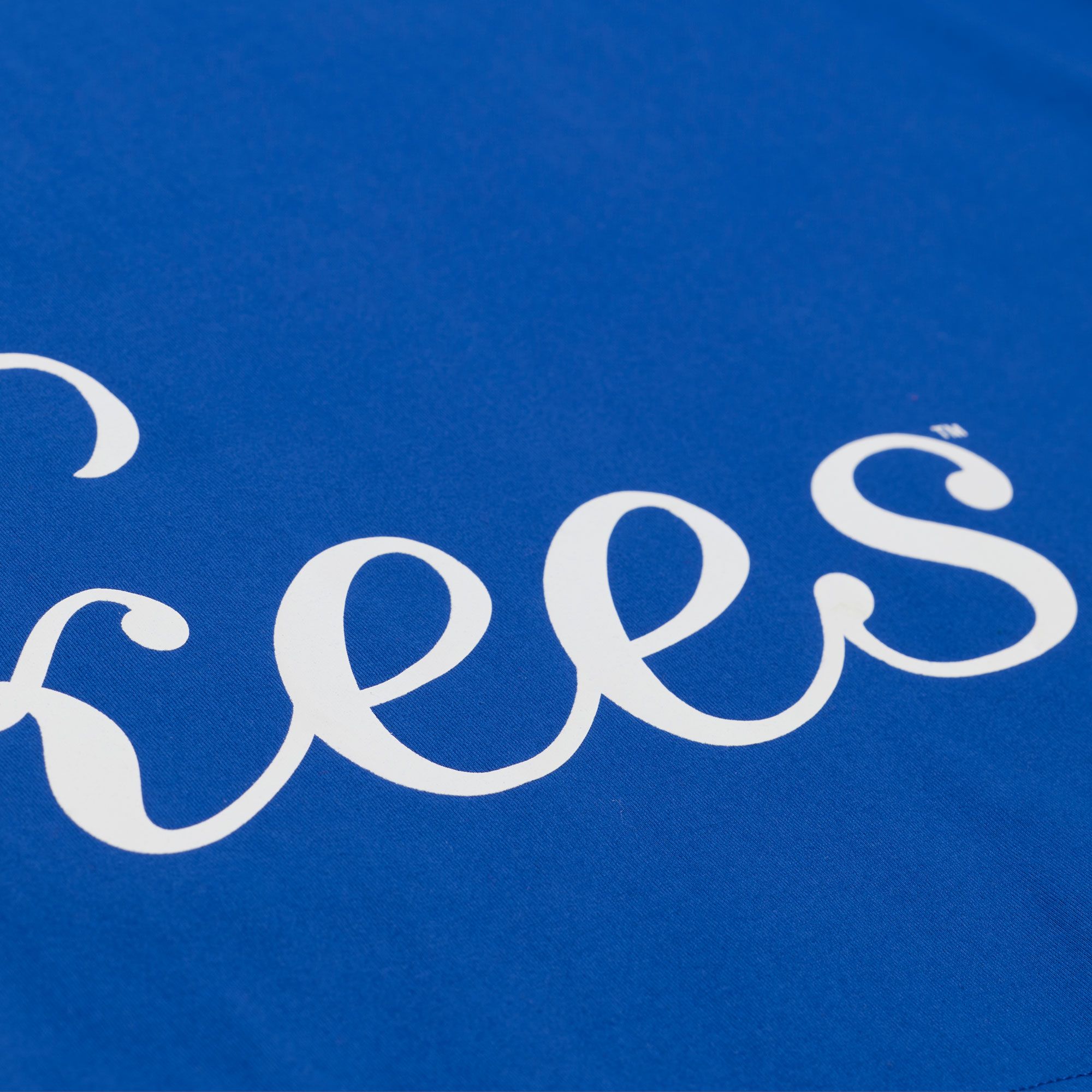 Mitchell & Ness Adult New York Yankees Royal Playoff Win T-Shirt product image