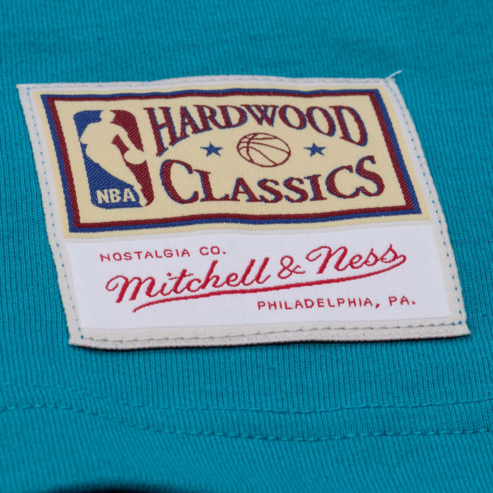 Mitchell & Ness Men's Charlotte Hornets Blue All In Long Sleeve T-Shirt product image
