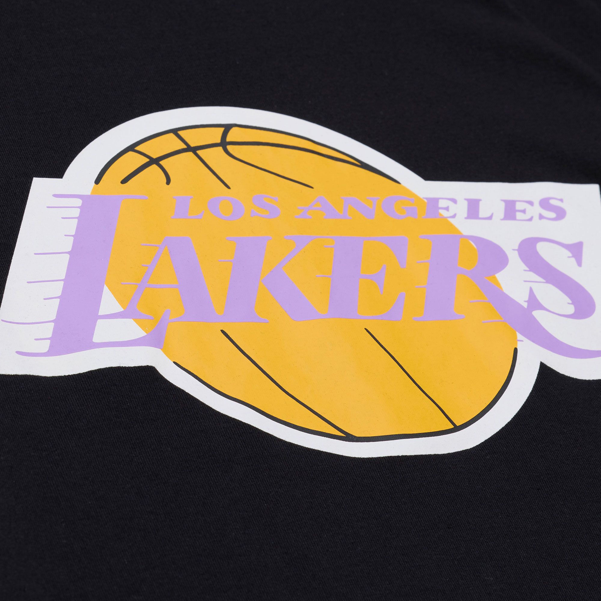 Mitchell & Ness Men's Los Angeles Lakers Black All In Long Sleeve T-Shirt product image
