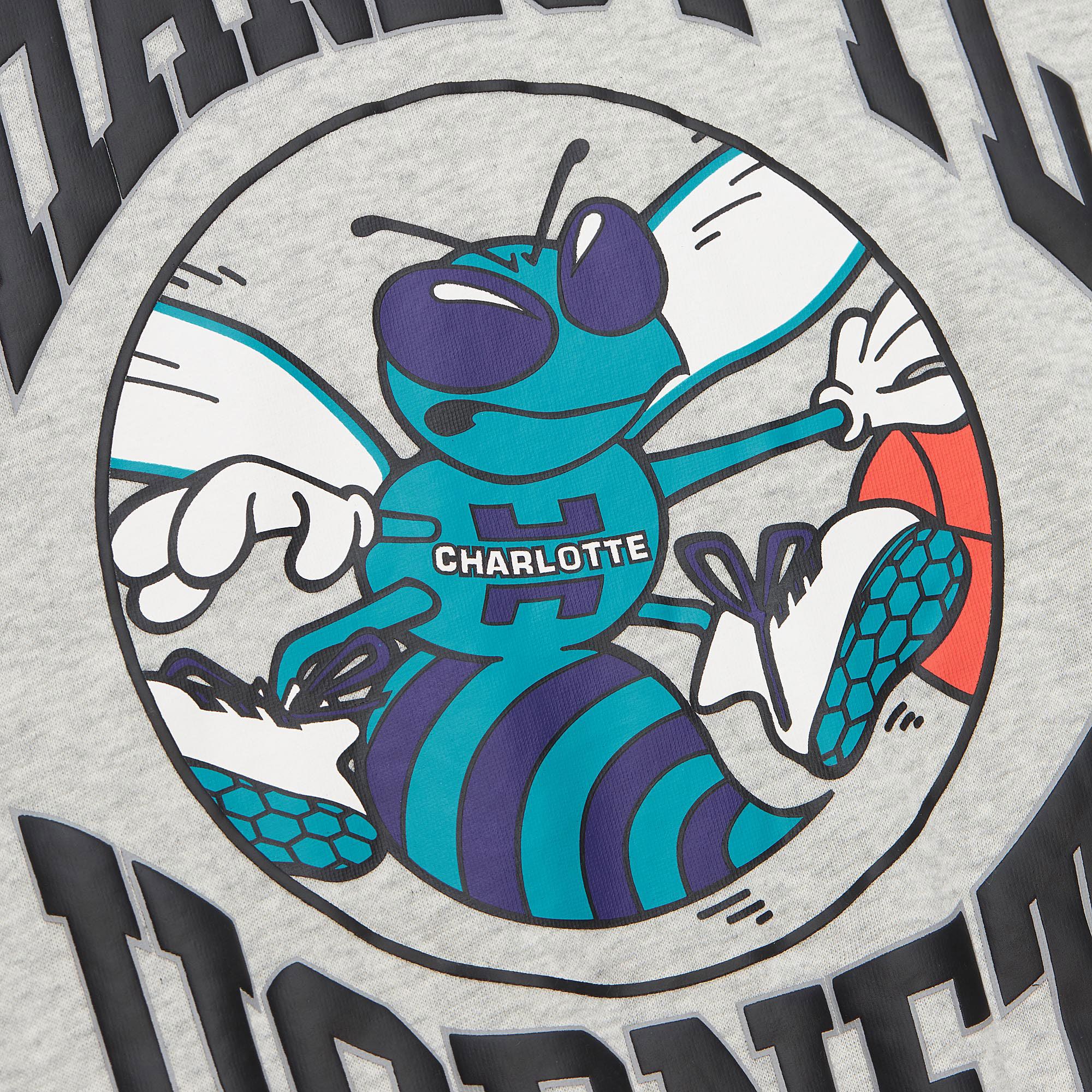 Mitchell & Ness Women's Charlotte Hornets Grey Retro Crewneck Sweatshirt product image