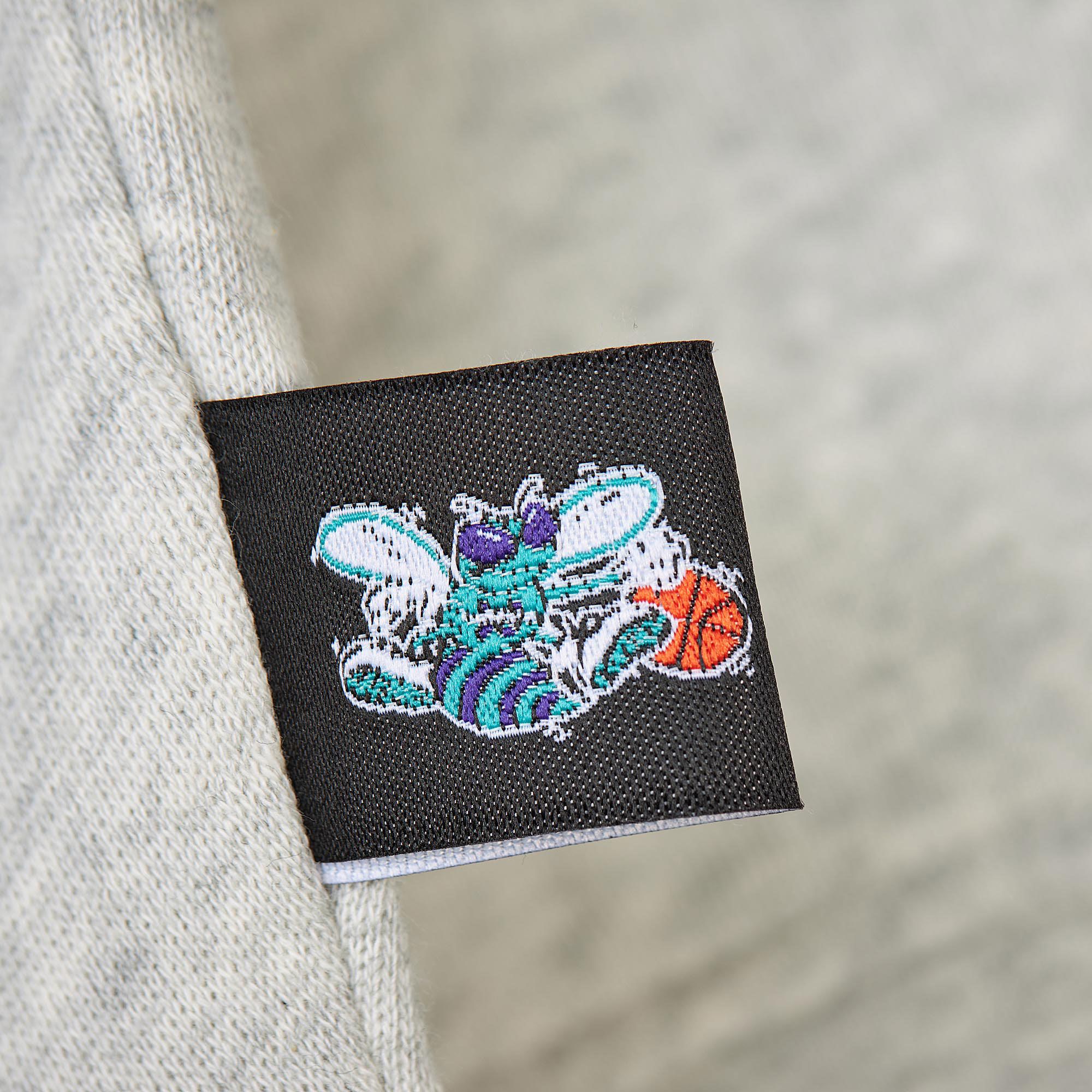 Mitchell & Ness Women's Charlotte Hornets Grey Retro Crewneck Sweatshirt product image