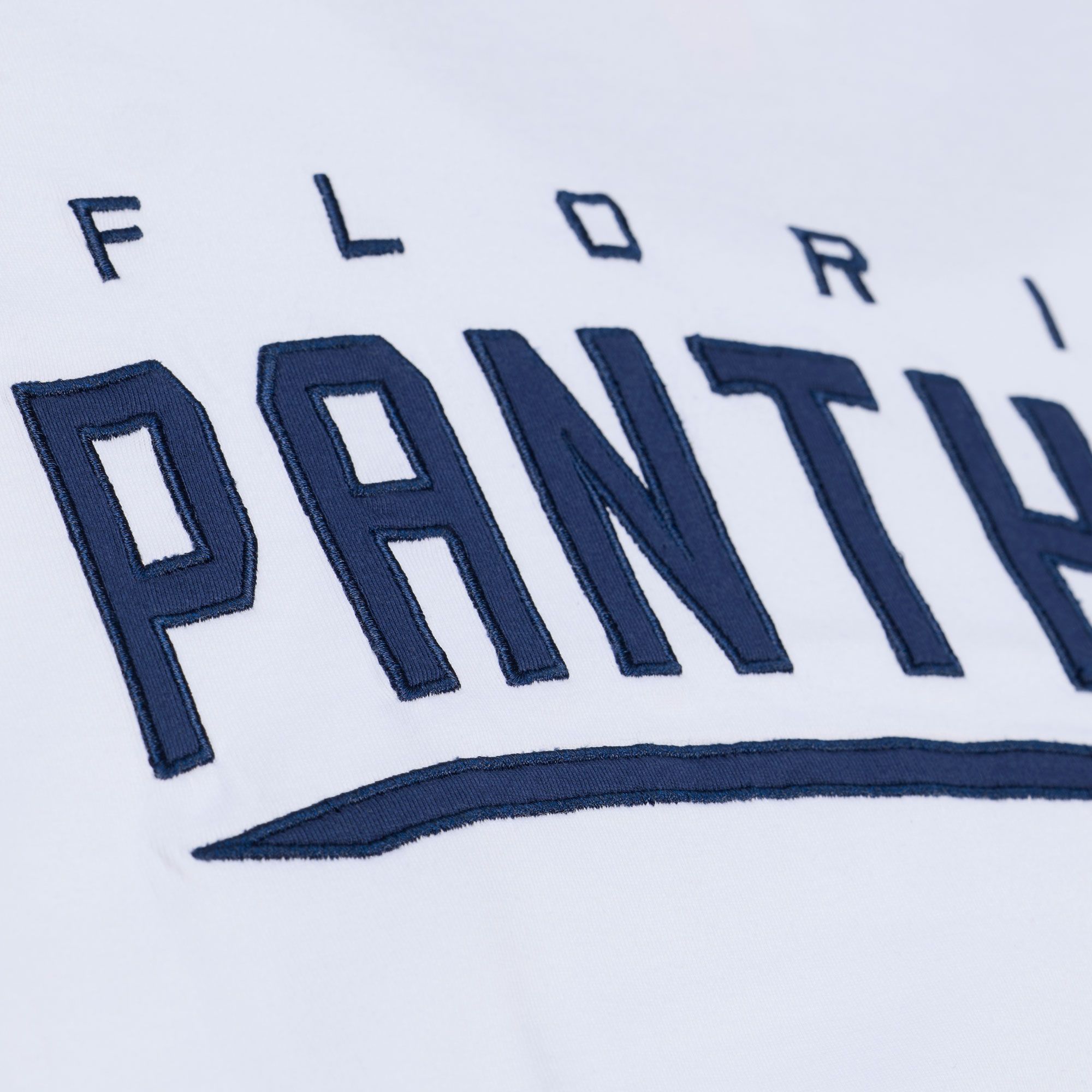 Mitchell & Ness Men's Florida Panthers White Arctic T-Shirt product image