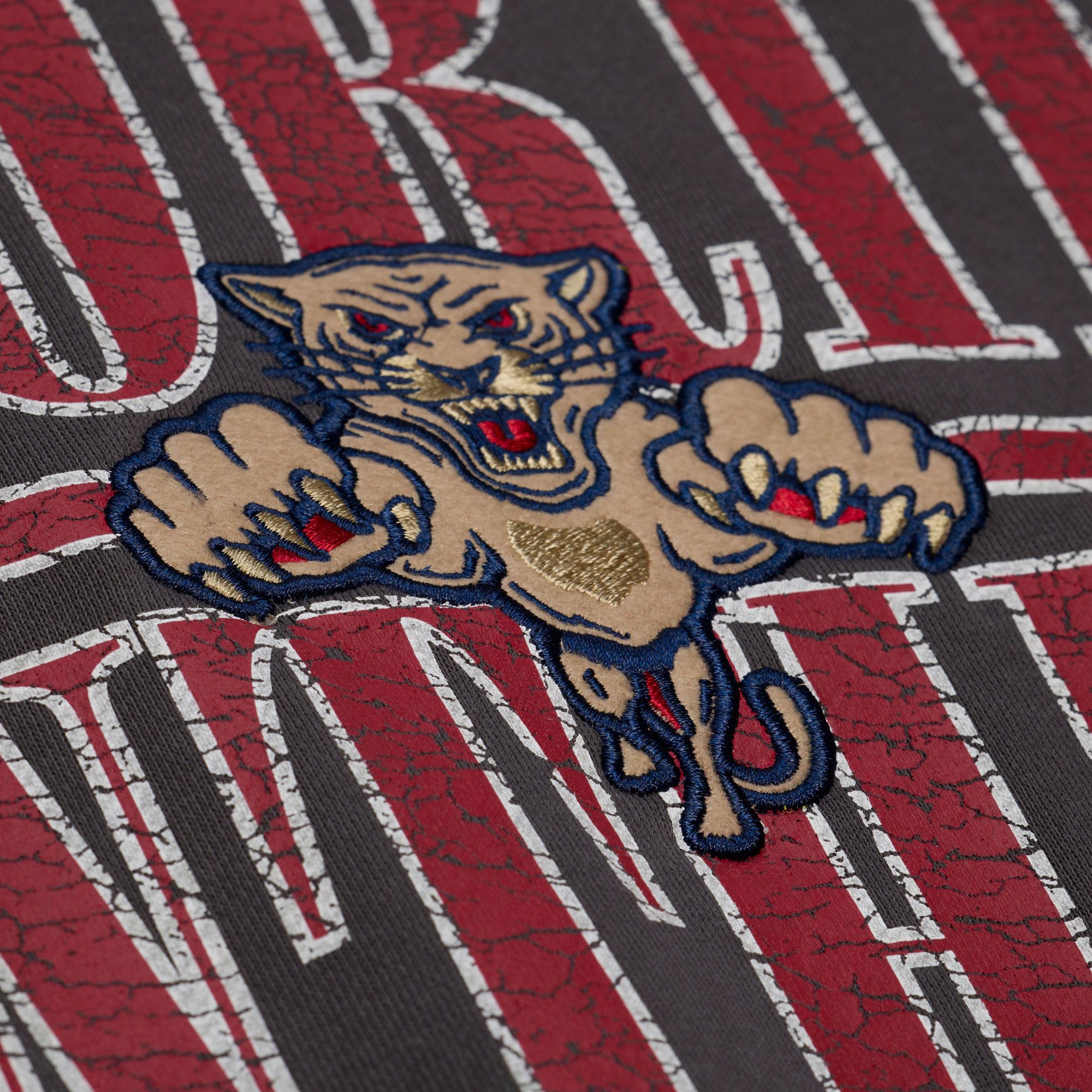 Mitchell & Ness Men's Florida Panthers Winter Classic 2026 Downtown Fleece Crewneck Sweatshirt product image