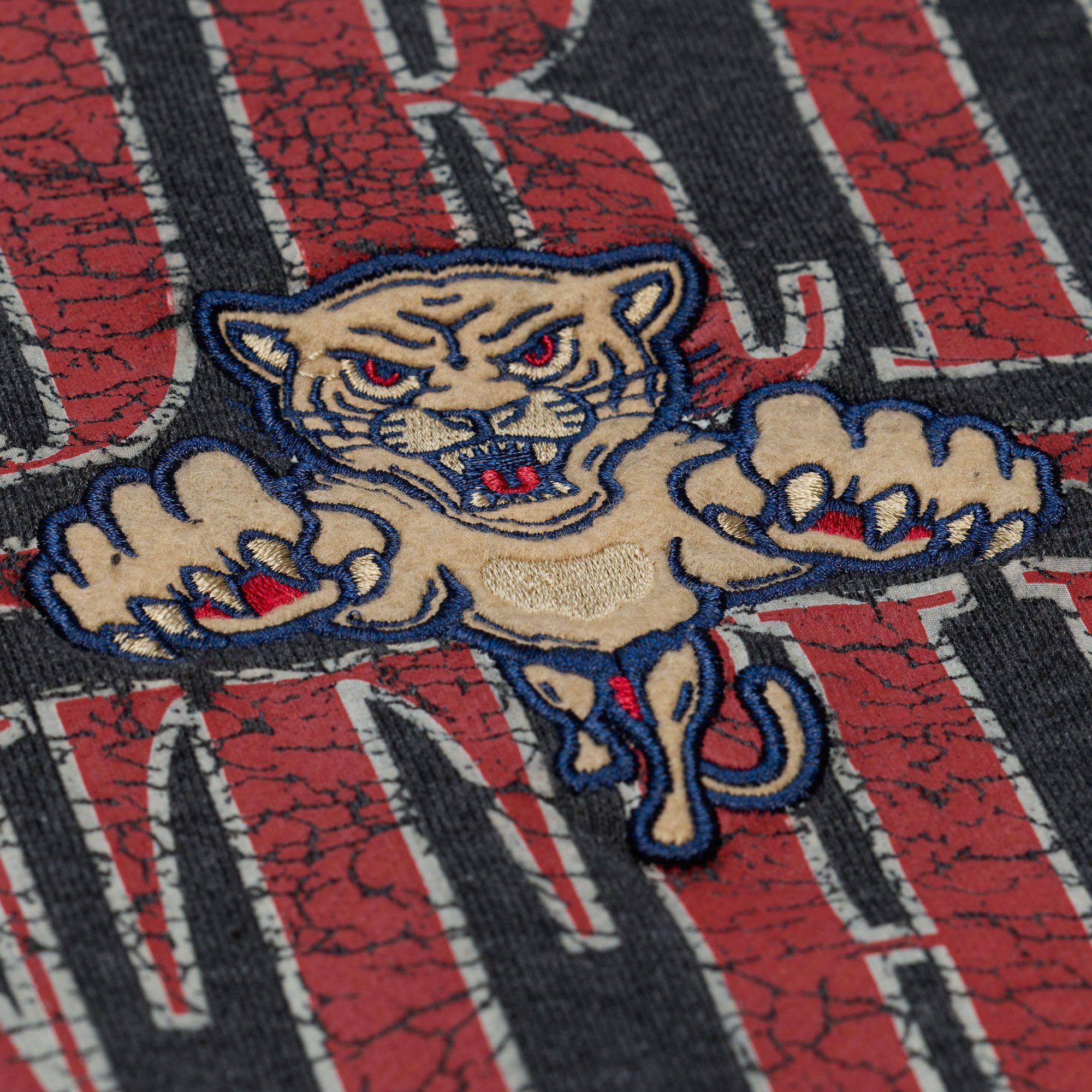 Mitchell & Ness Women's Florida Panthers Winter Classic 2026 Crewneck Sweatshirt product image