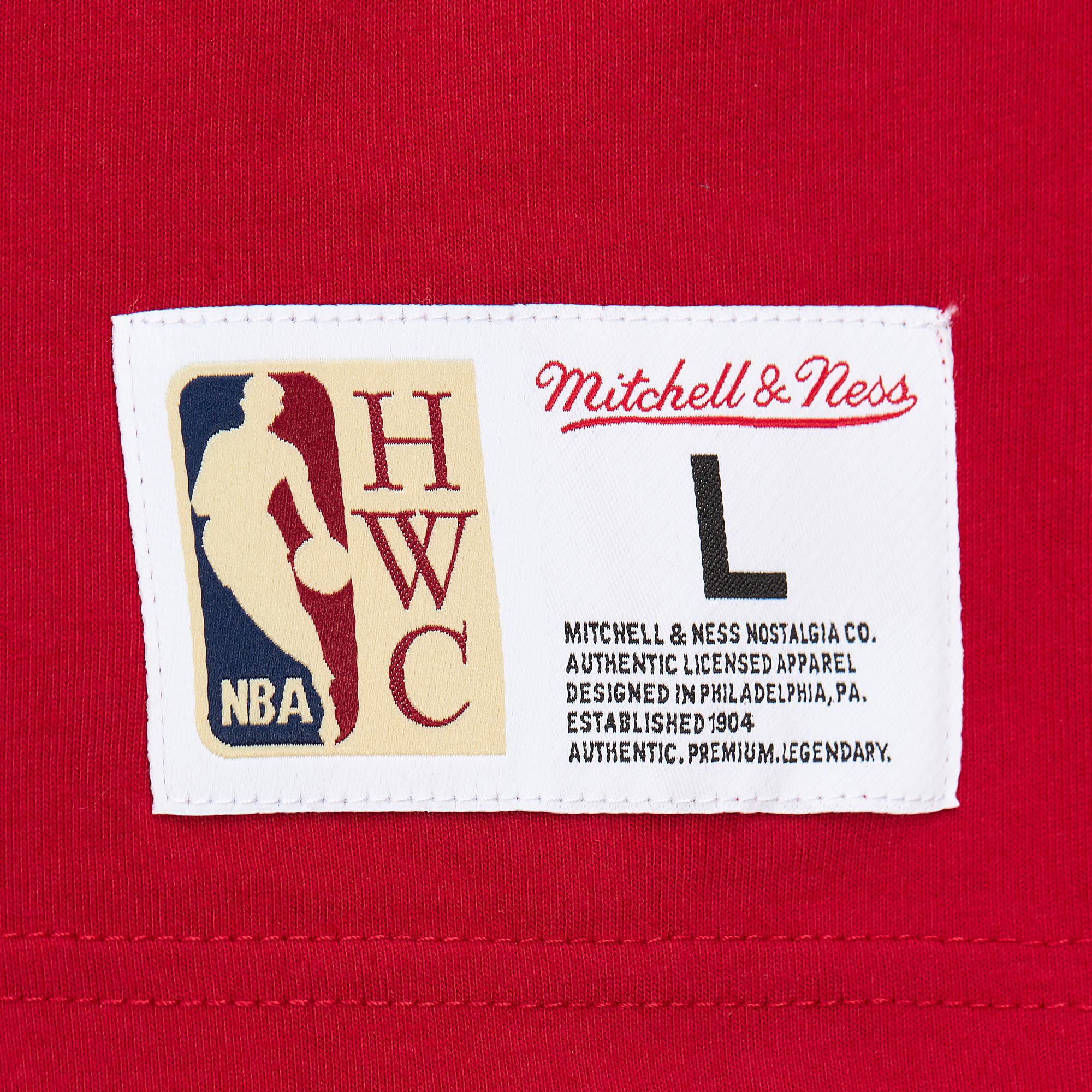 Mitchell & Ness Adult Detroit Pistons Team OG 3.0 T-Shirt product image