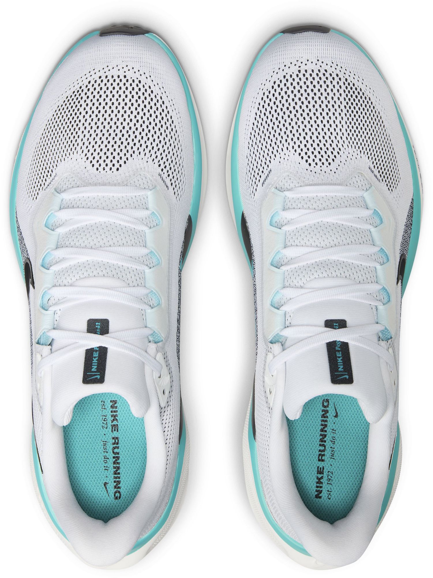 Nike Men's Pegasus 41 Running Shoes product image