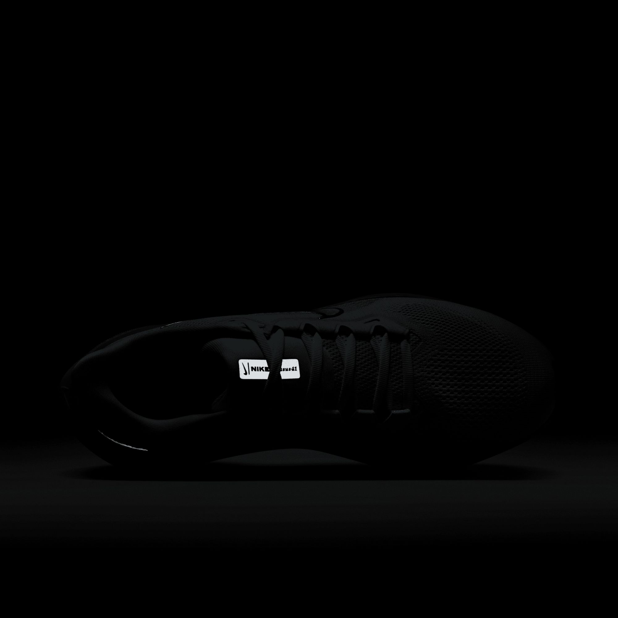 Nike Men's Pegasus 41 Running Shoes product image