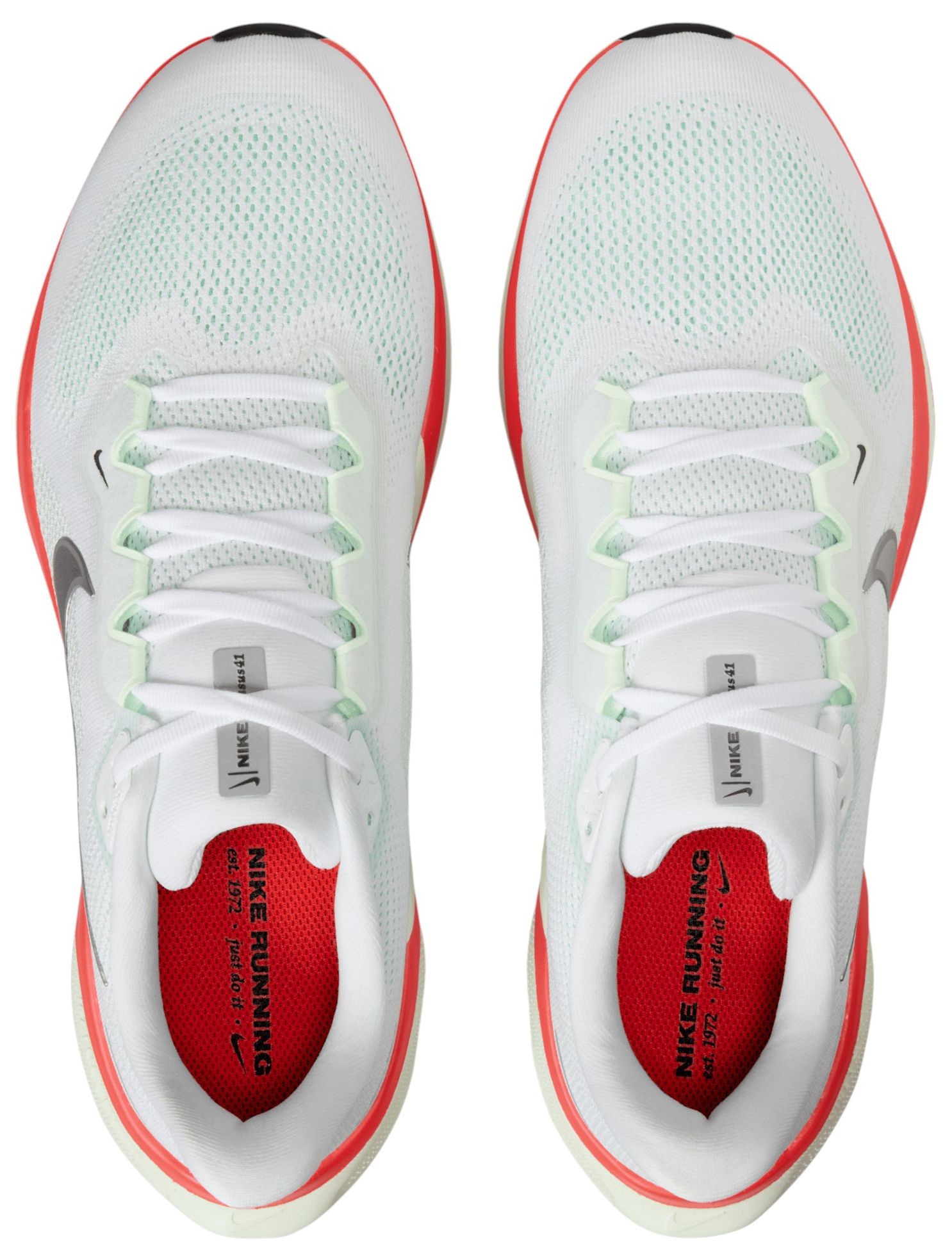 Nike Men's Pegasus 41 Running Shoes product image