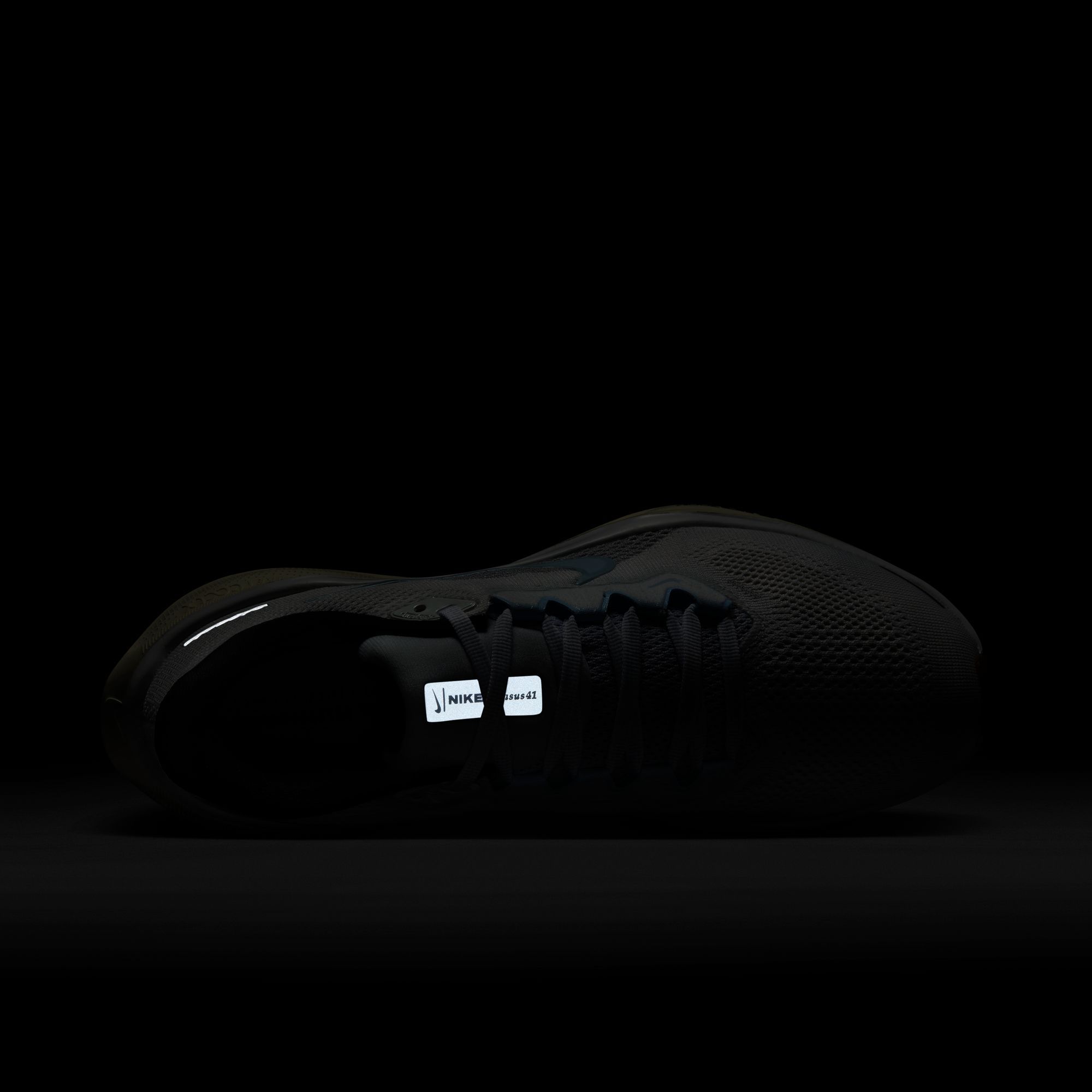 Nike Women's Pegasus 41 Running Shoes product image