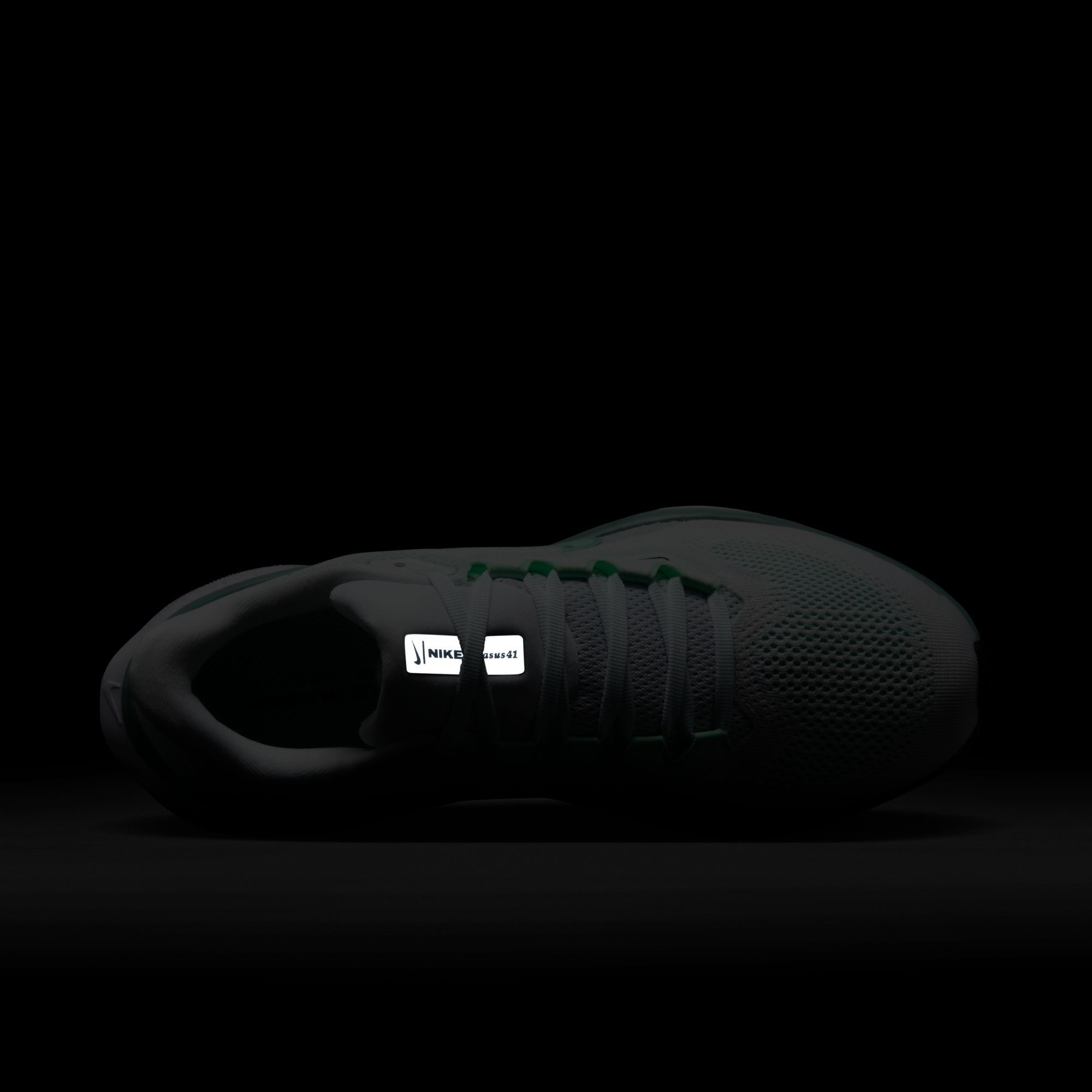 Nike Women's Pegasus 41 Running Shoes product image