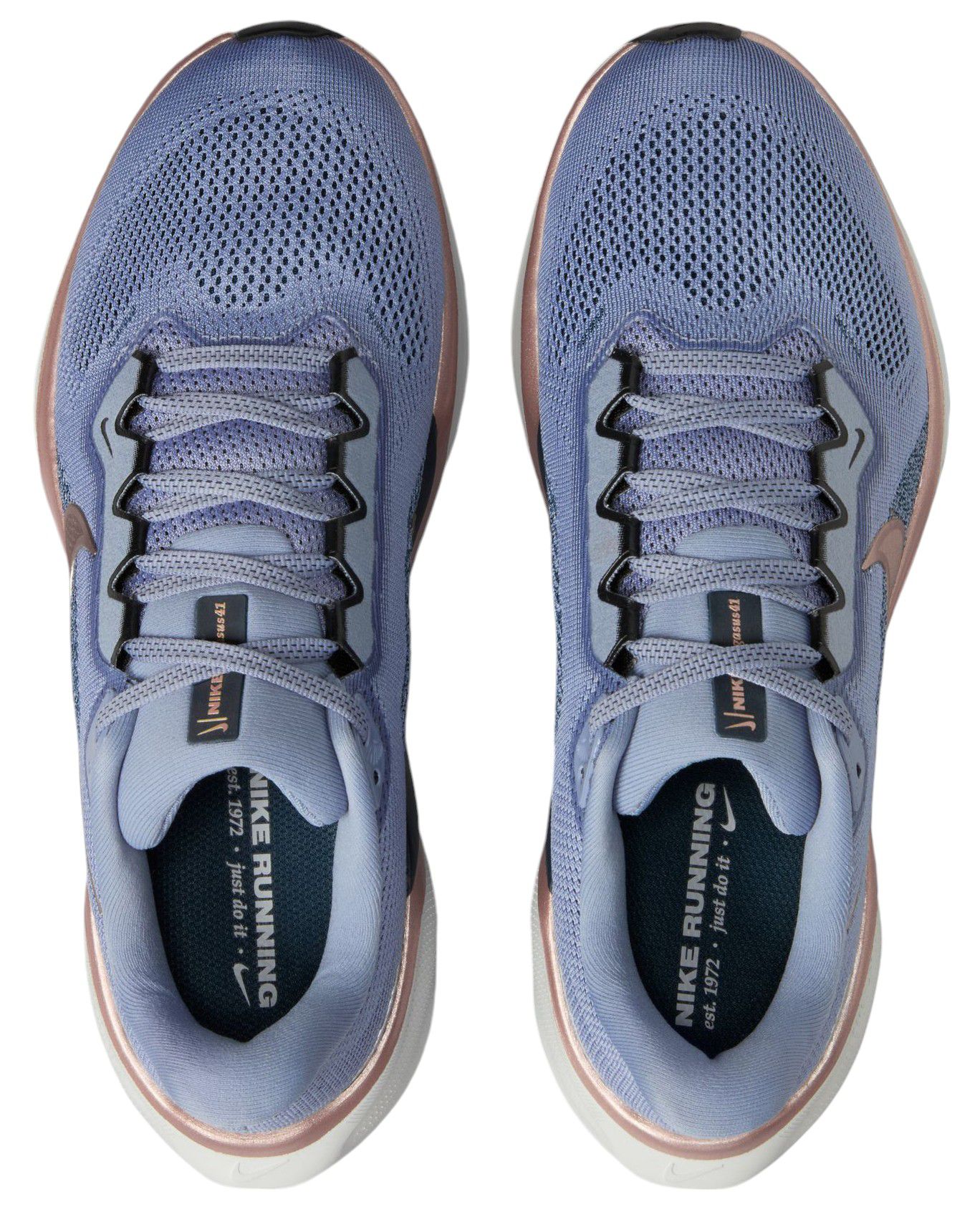 Nike Women's Pegasus 41 Running Shoes product image