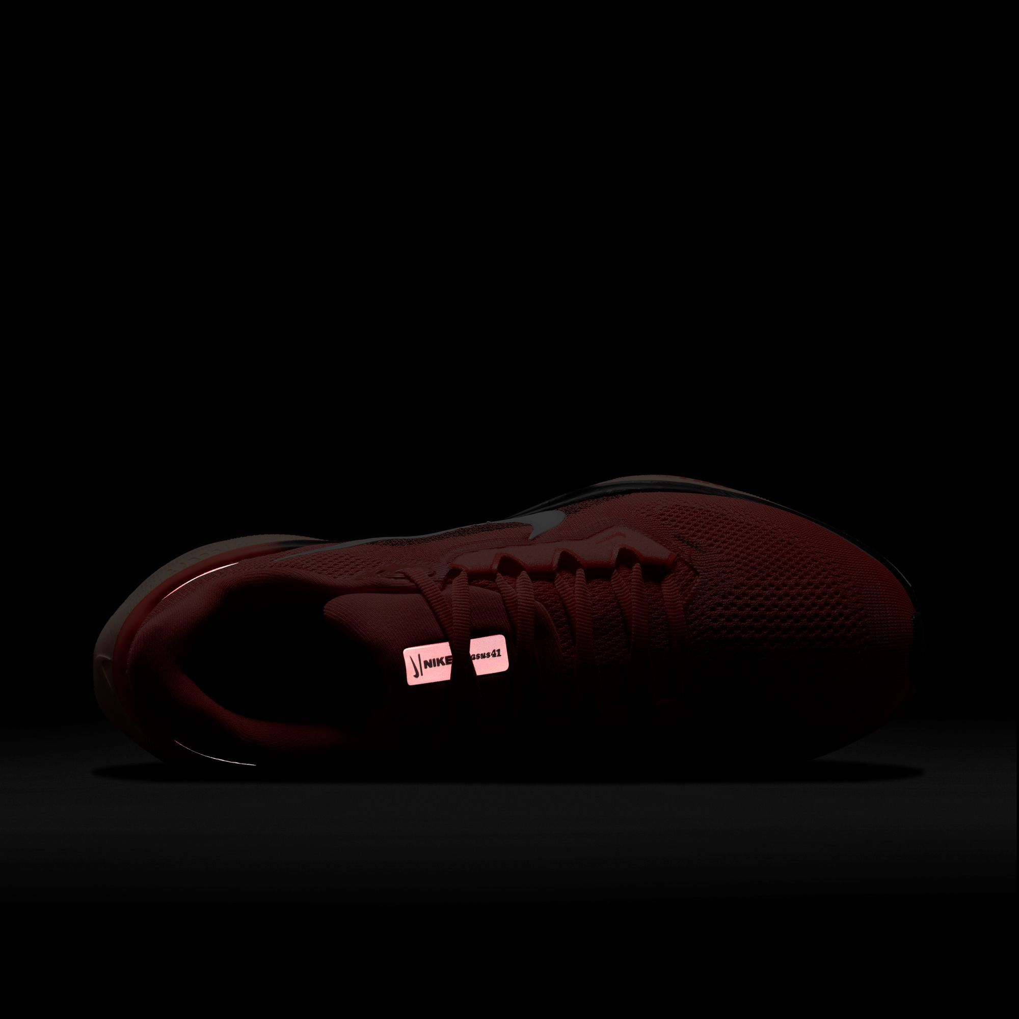 Nike Women's Pegasus 41 Running Shoes product image