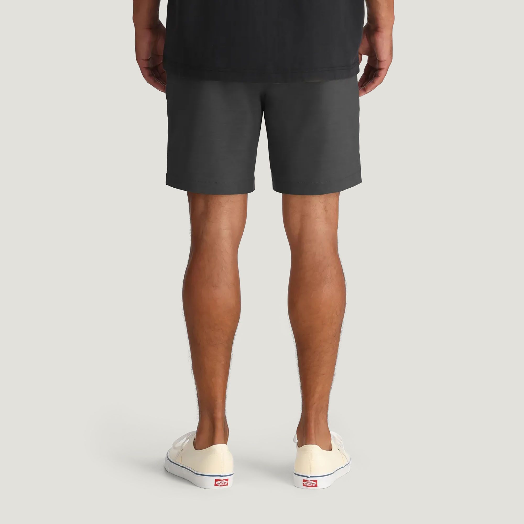 Free Fly Men's Palmera Hybrid Shorts product image