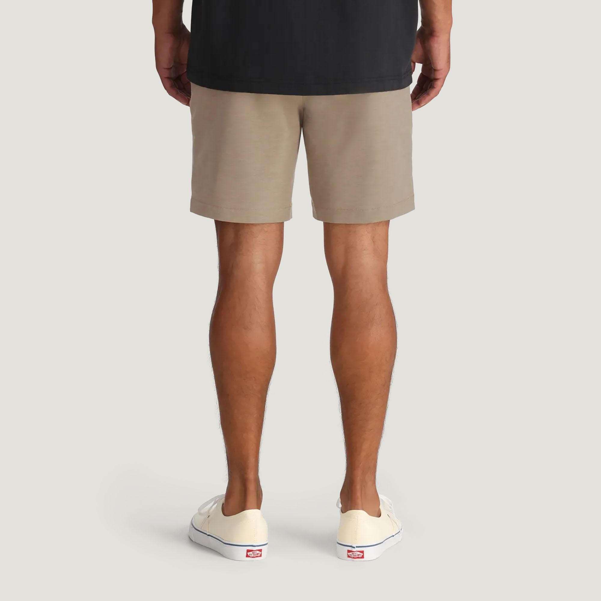 Free Fly Men's Palmera Hybrid Shorts product image