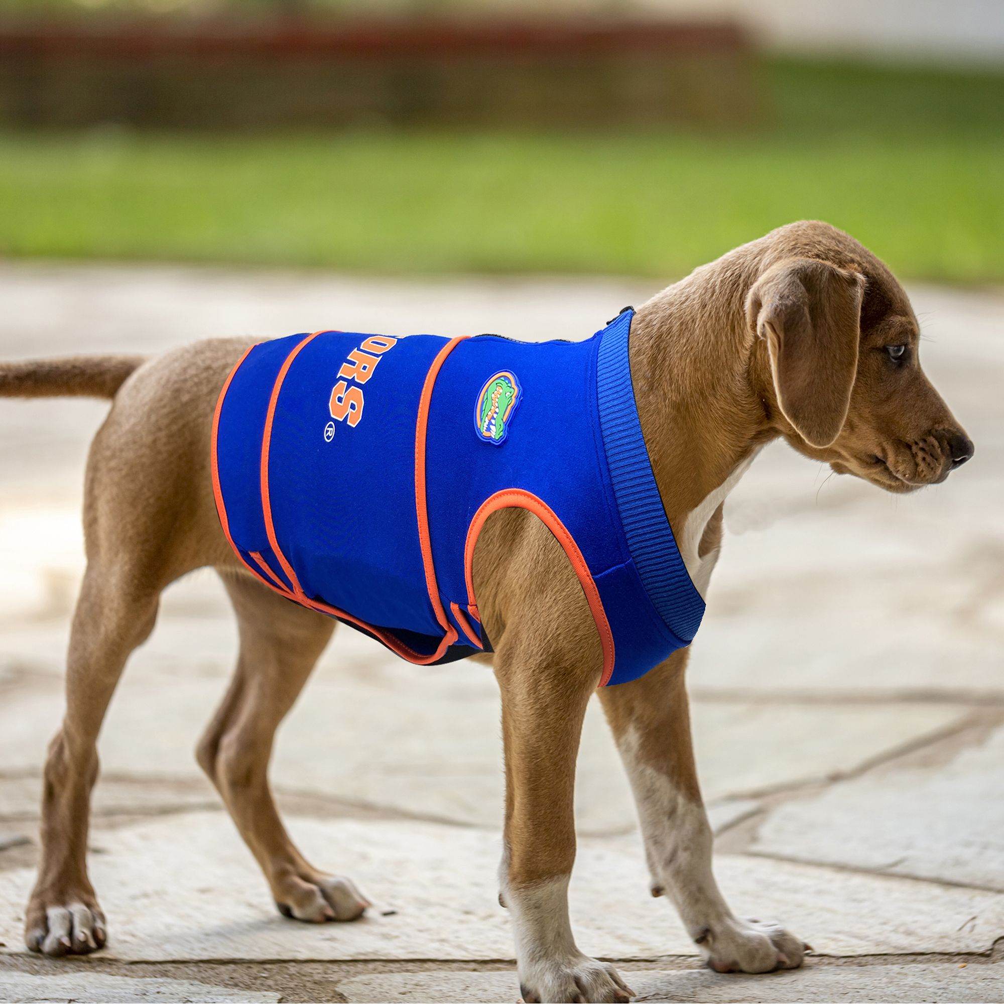Pets First Florida Gators Soothing Solution Vest product image