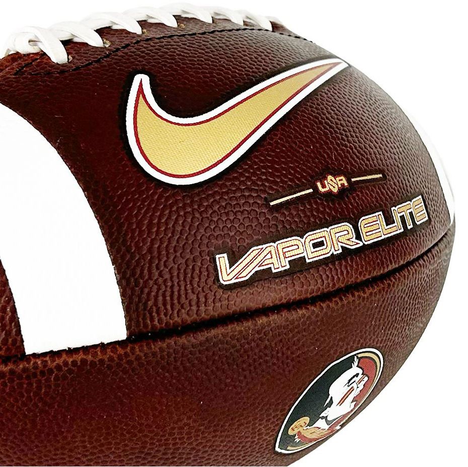 Jordan Florida Gators Leather Football product image