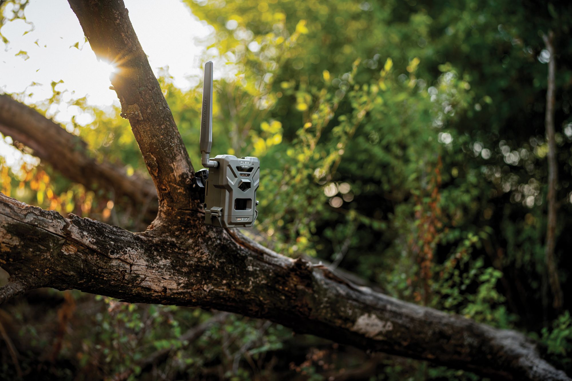 Spypoint Flex G-36 Cellular Trail Camera - 36 MP product image