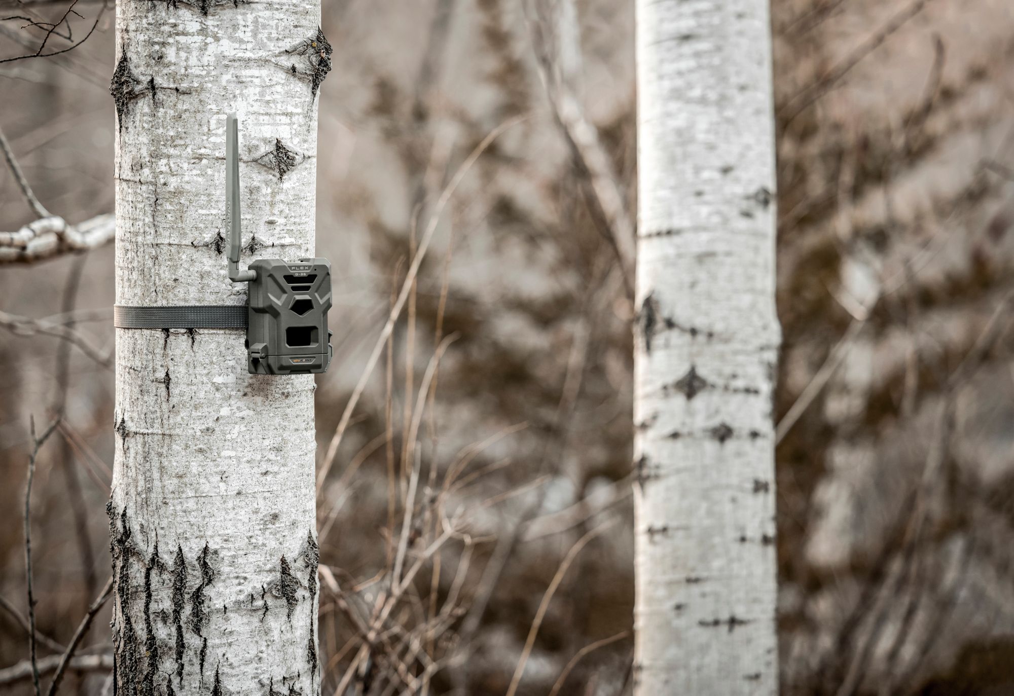 Spypoint Flex G-36 Cellular Trail Camera - 36 MP product image