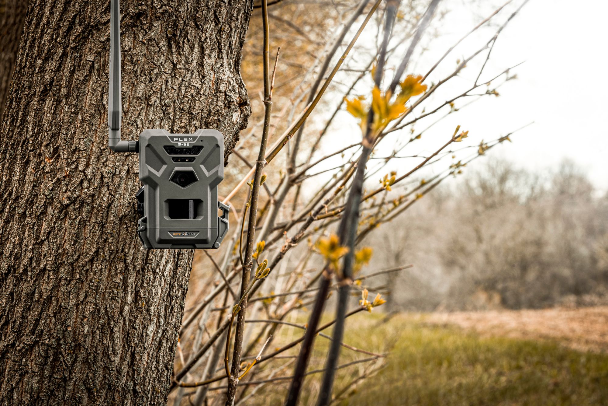 Spypoint Flex G-36 Cellular Trail Camera - 36 MP product image