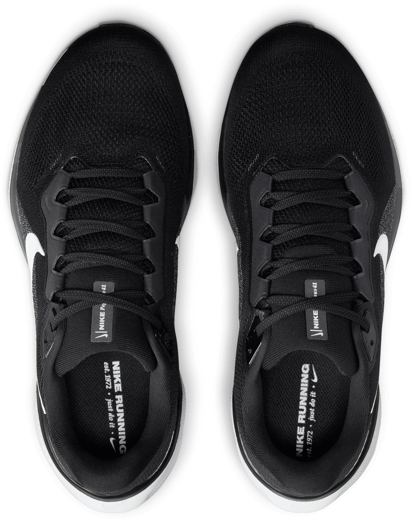 Nike Men's Pegasus 41 Running Shoes product image