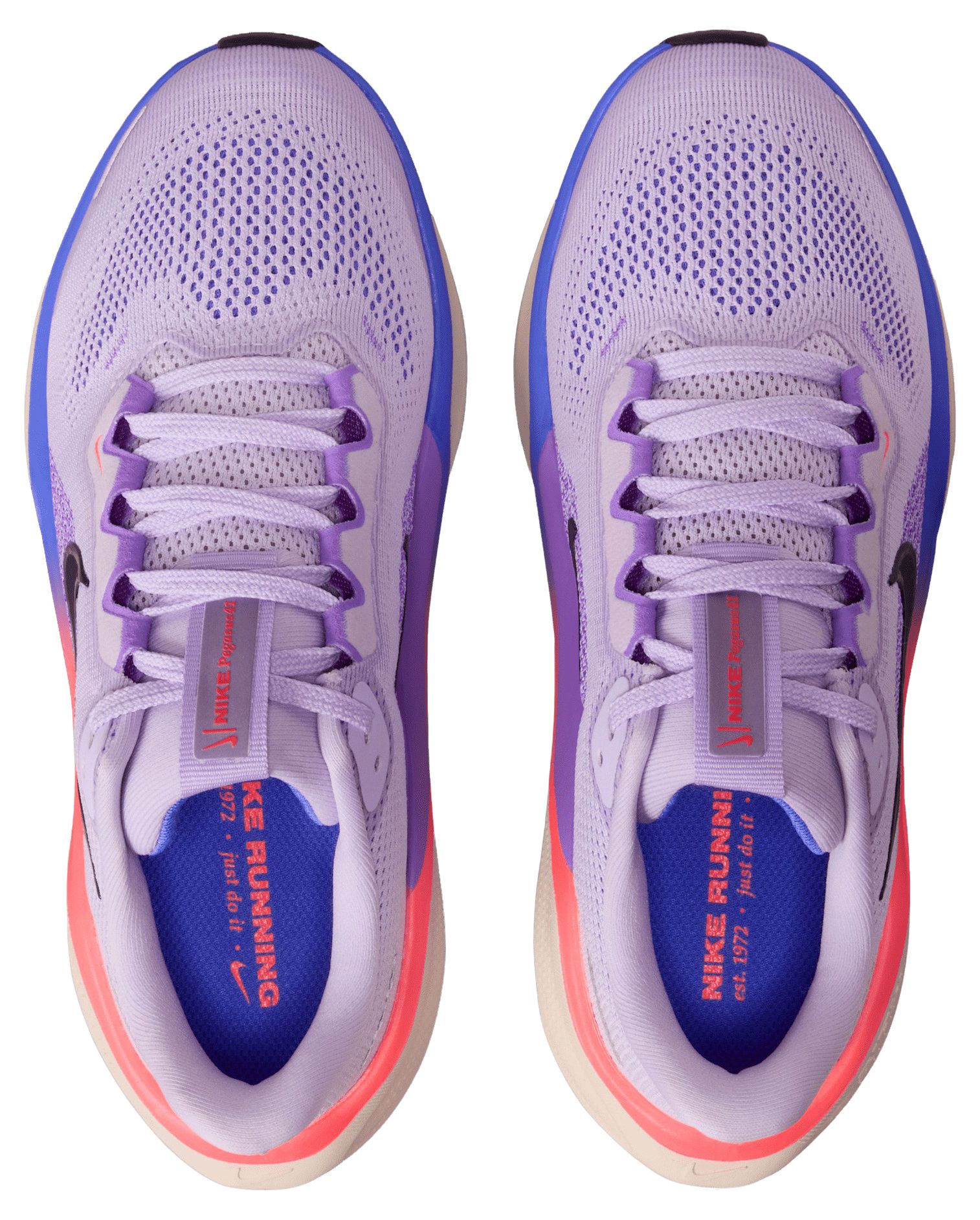 Nike Kids' Grade School Pegasus 41 Running Shoes product image