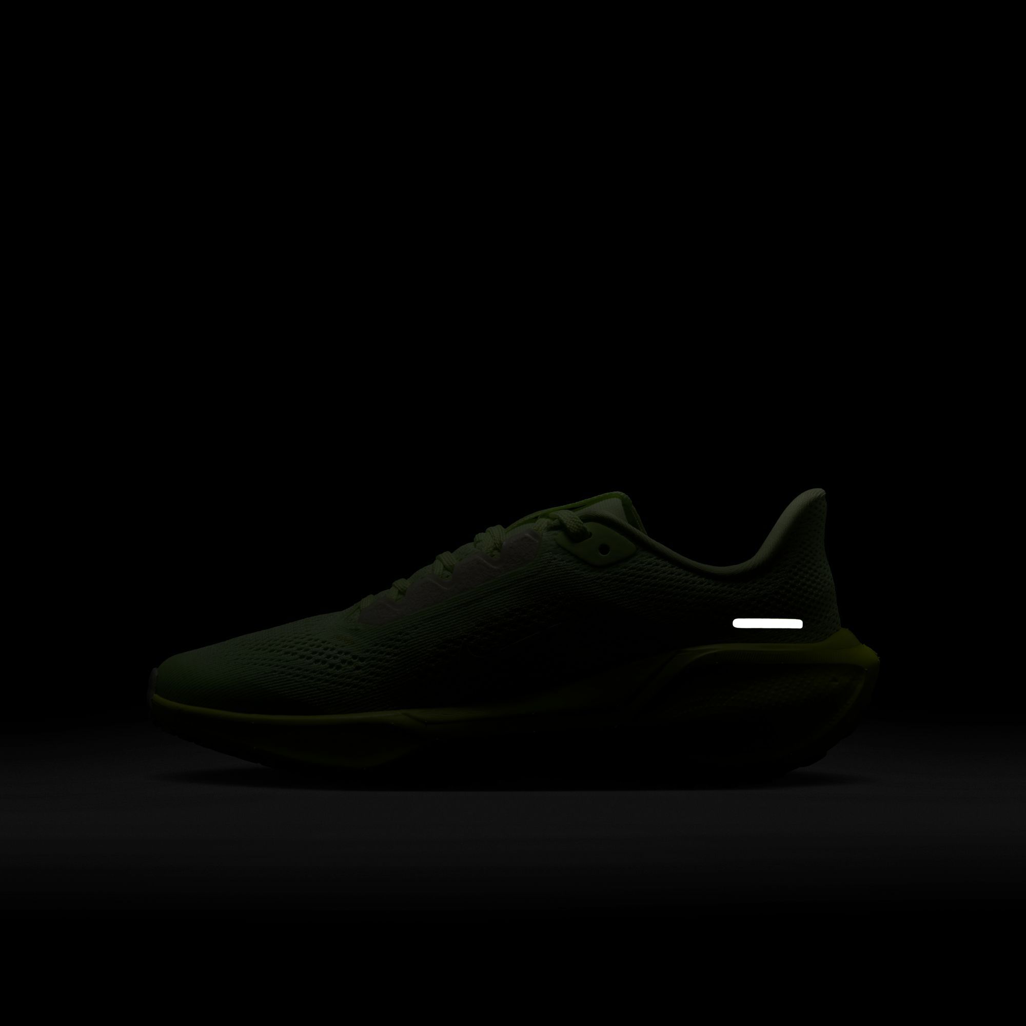 Nike Kids' Grade School Pegasus 41 Running Shoes product image