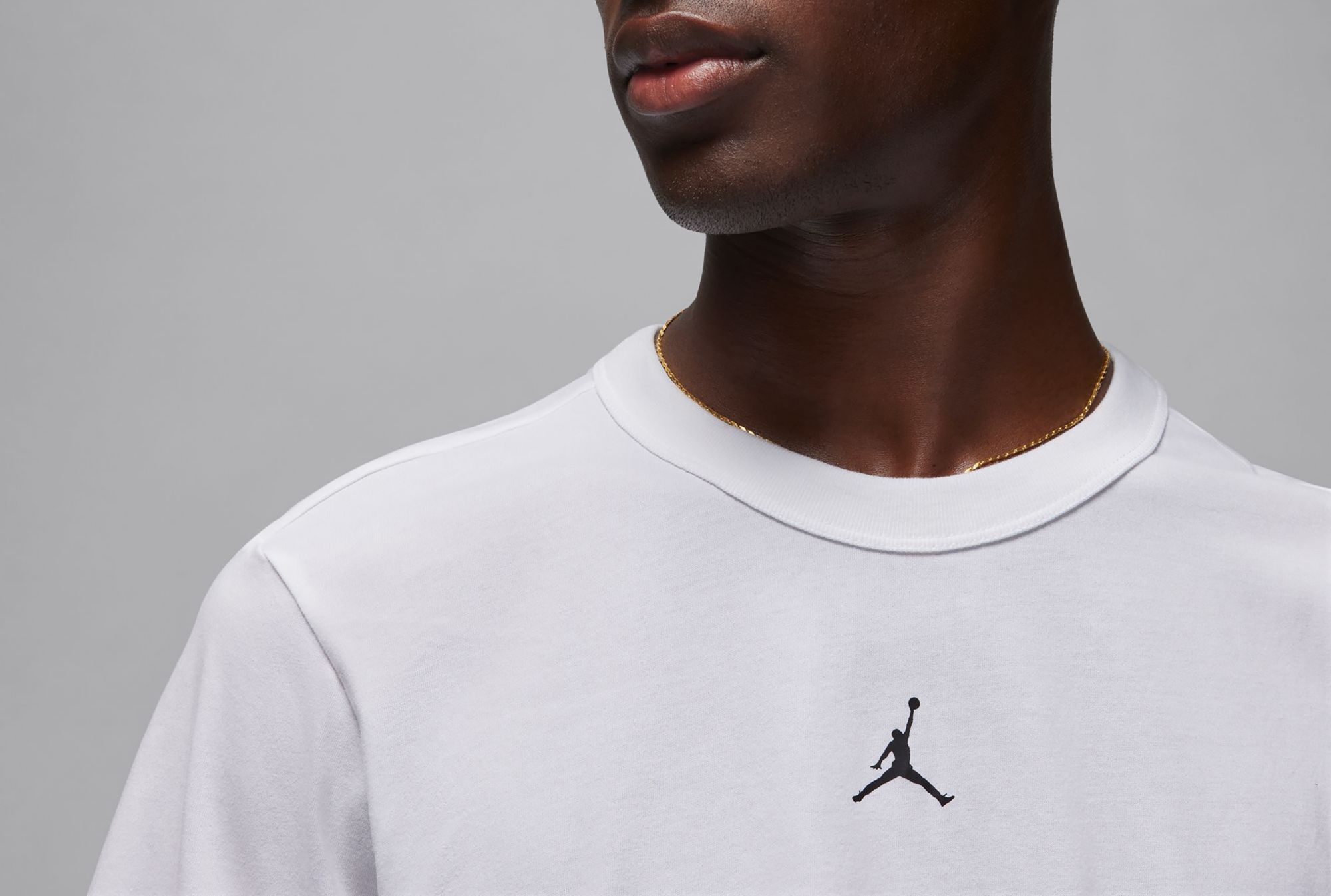 Jordan Men's Dri-FIT Sport Performance Short Sleeve T-Shirt product image