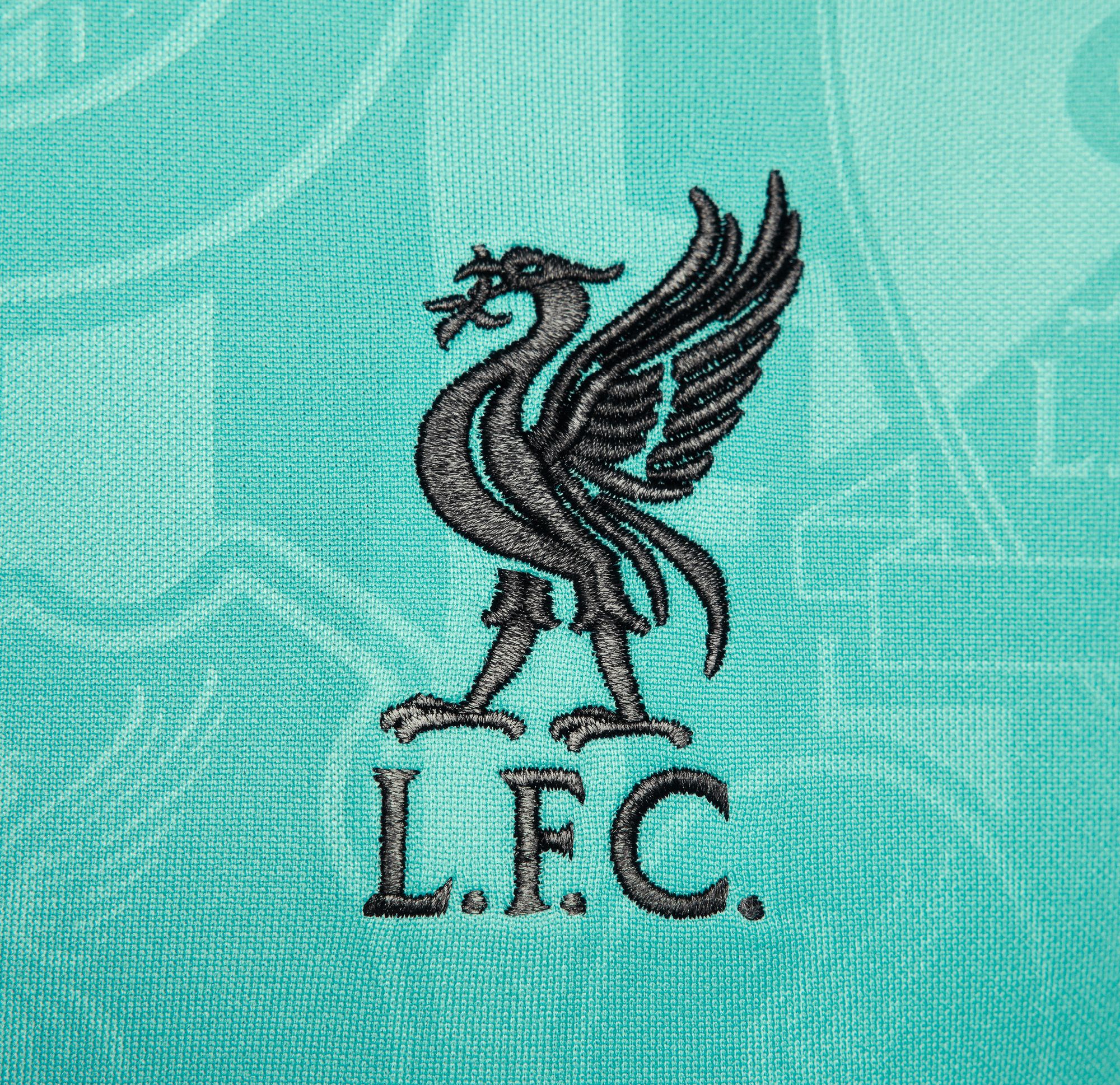 Nike Adult Liverpool FC 2024 Teal Prematch Jersey product image