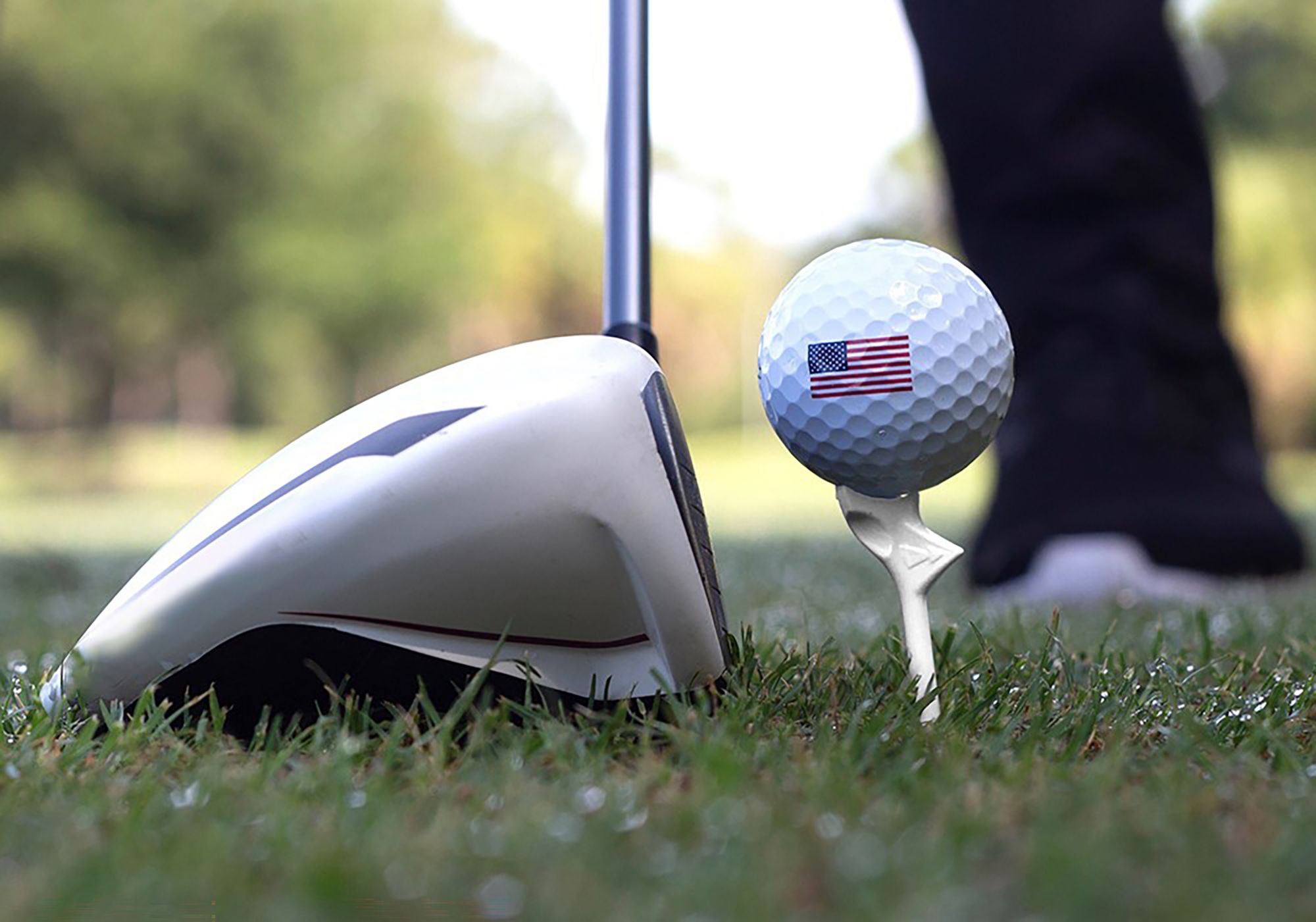 FlightPath 3.25" Golf Tees - 4 Pack product image