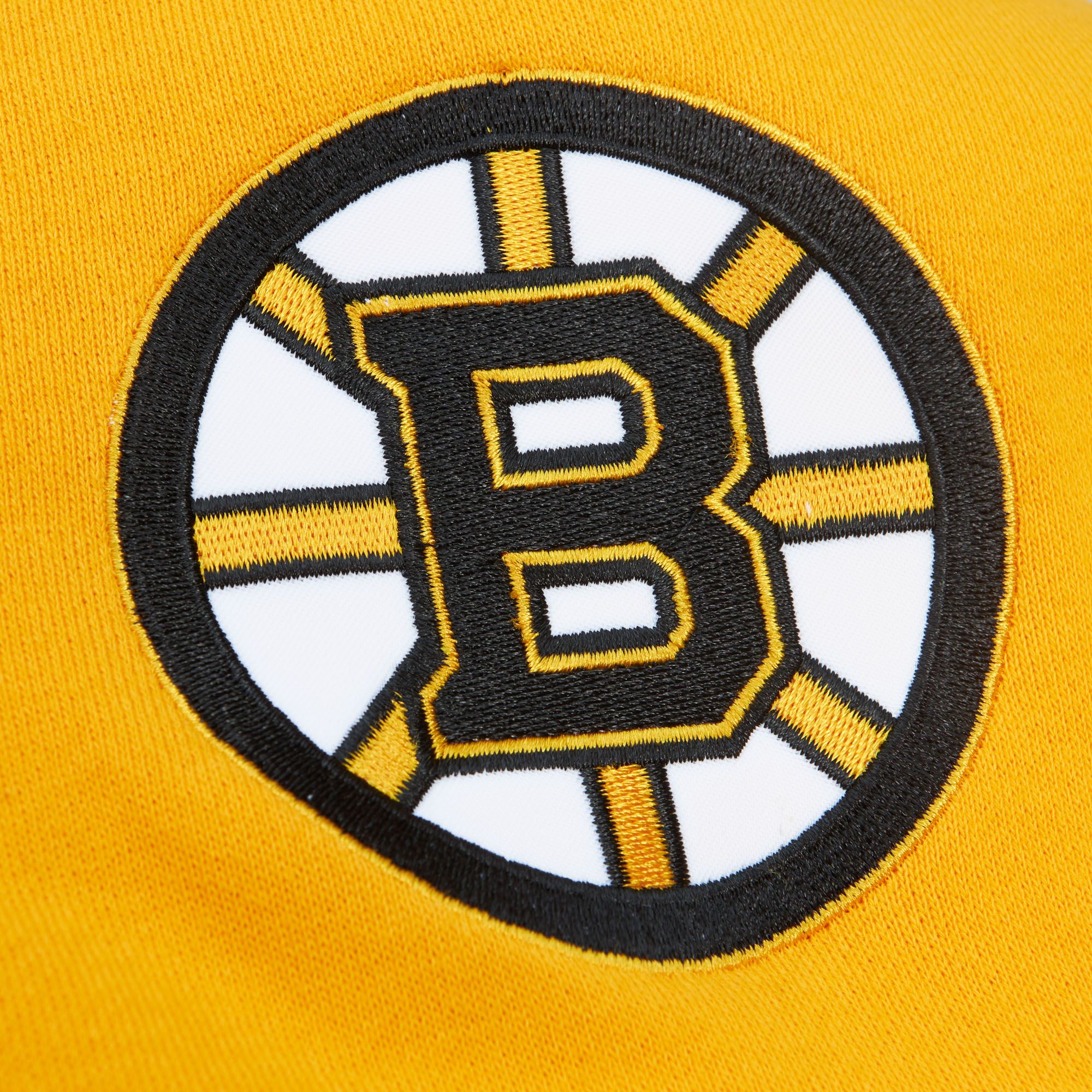Mitchell & Ness Adult Boston Bruins Head Coach Black Pullover Hoodie product image