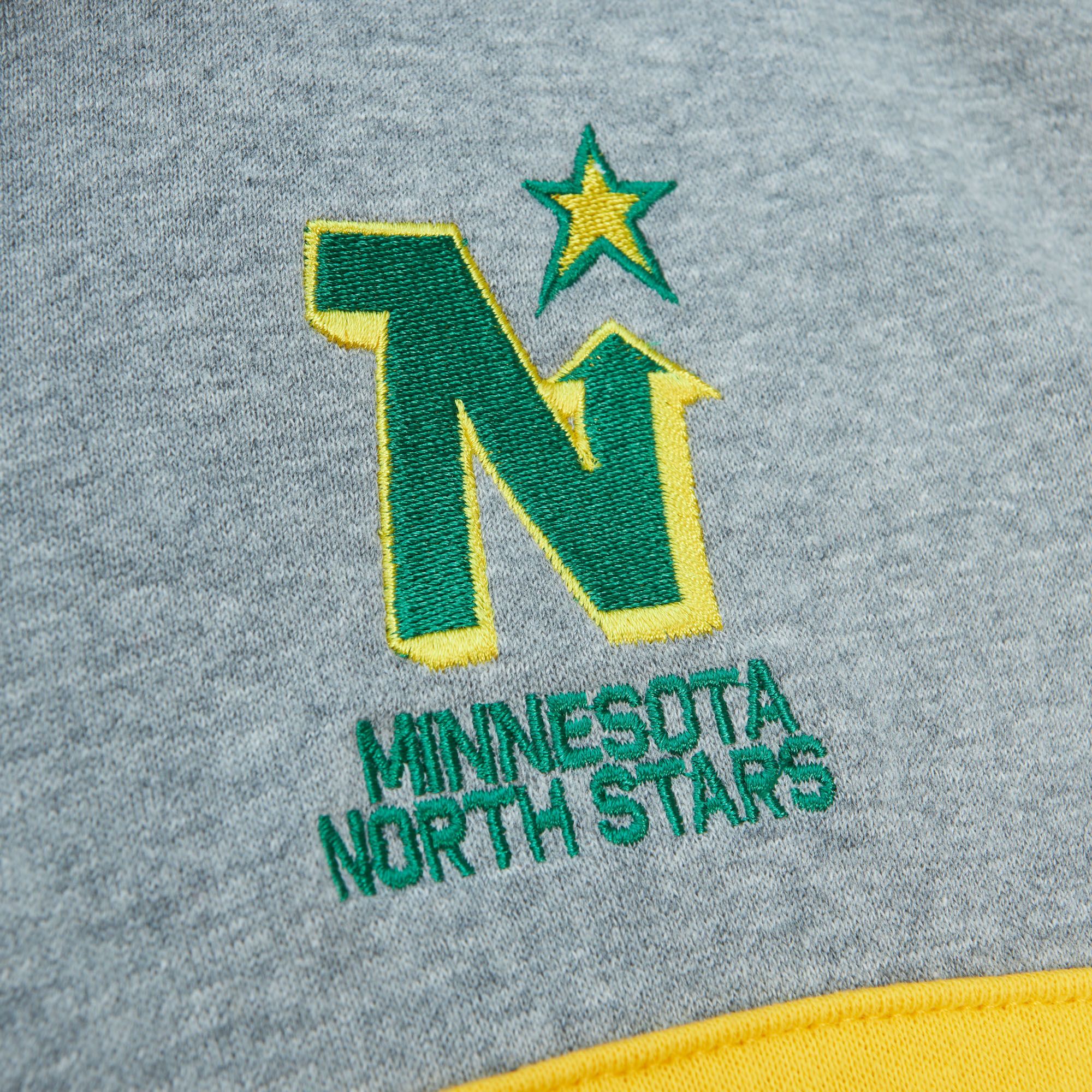 Mitchell & Ness Men's Minnesota North Stars Green Head Coach Pullover Hoodie product image