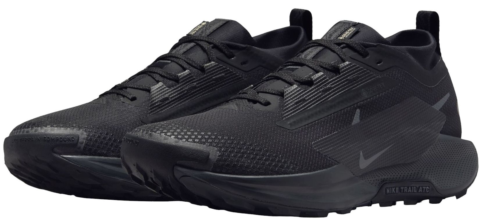 Nike Men's Pegasus Trail 5 GORE-TEX Running Shoes product image