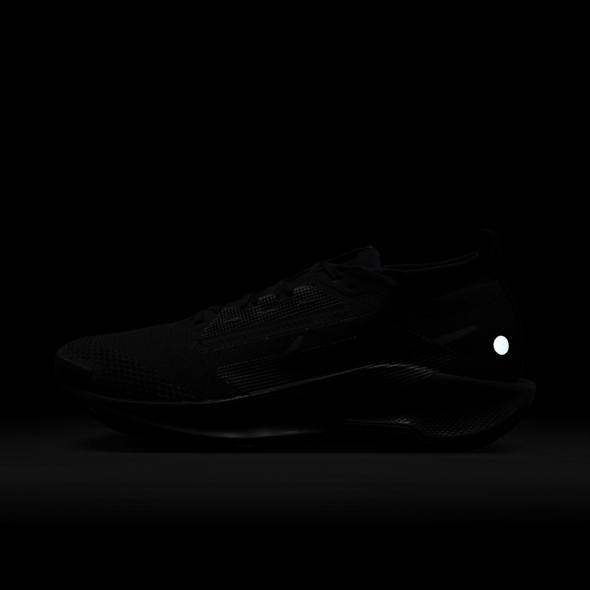 Nike Men's Pegasus Trail 5 GORE-TEX Running Shoes product image