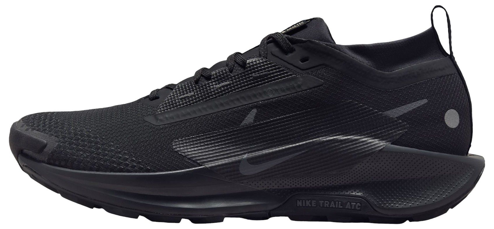 Nike Men's Pegasus Trail 5 GORE-TEX Running Shoes product image