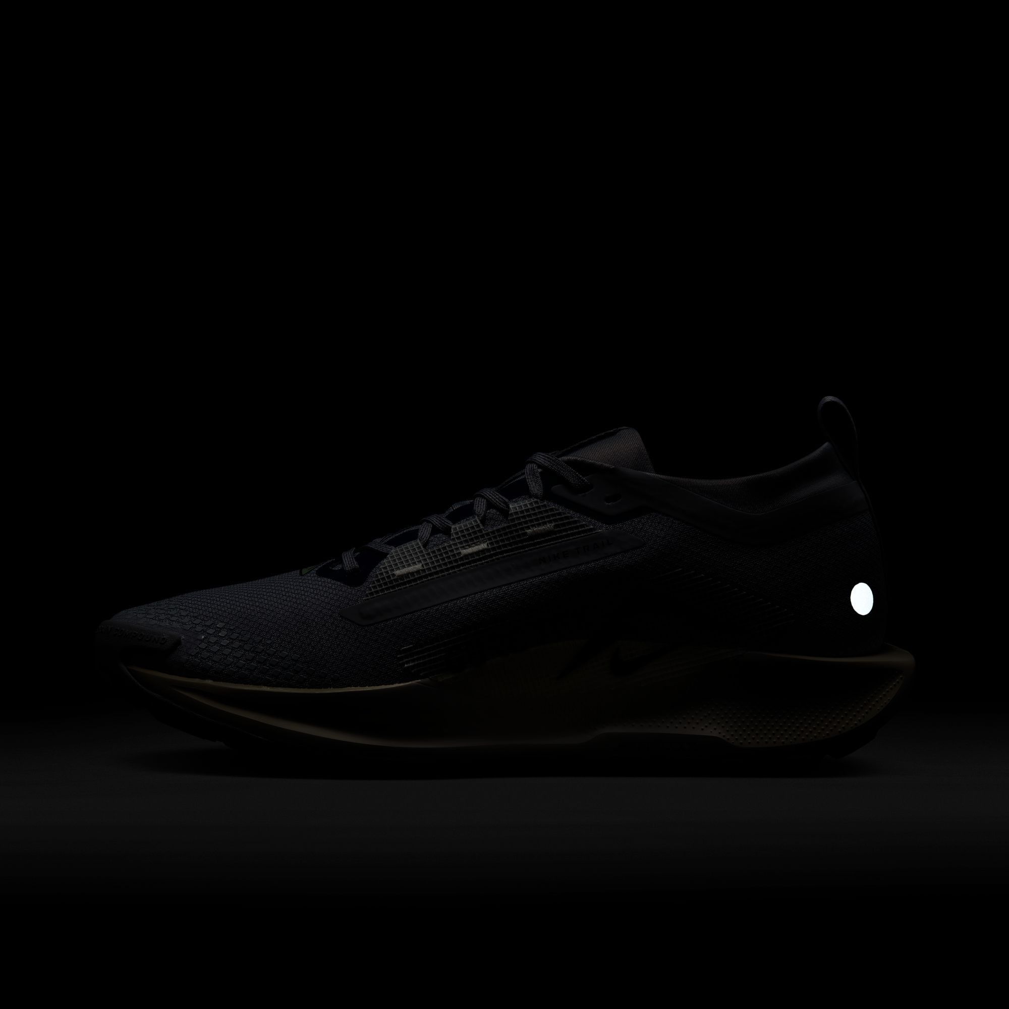 Nike Men's Pegasus Trail 5 GORE-TEX Running Shoes product image